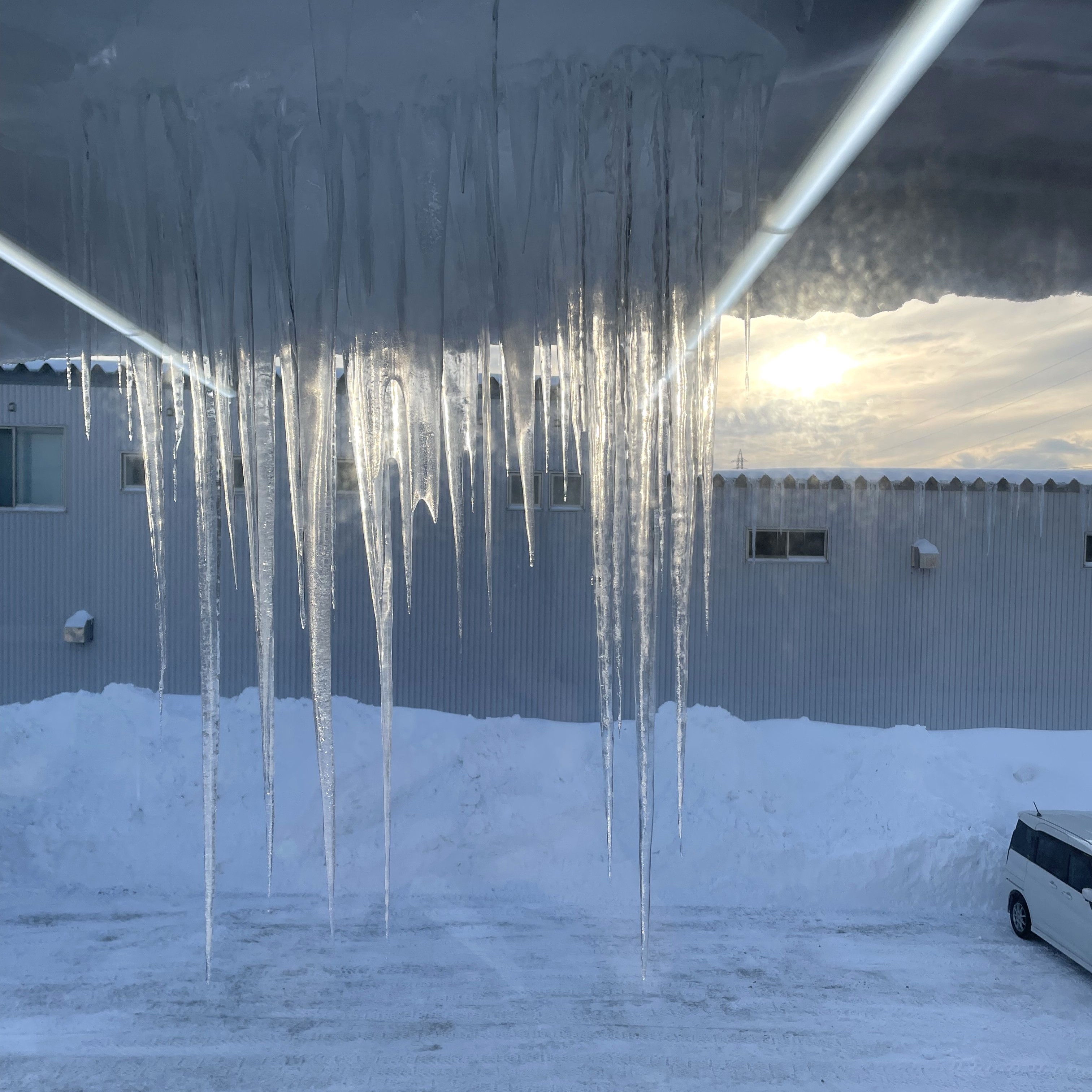 試される大地。