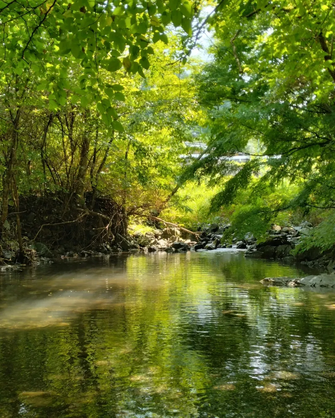 まんのう町へ納涼に行ってきました🎐