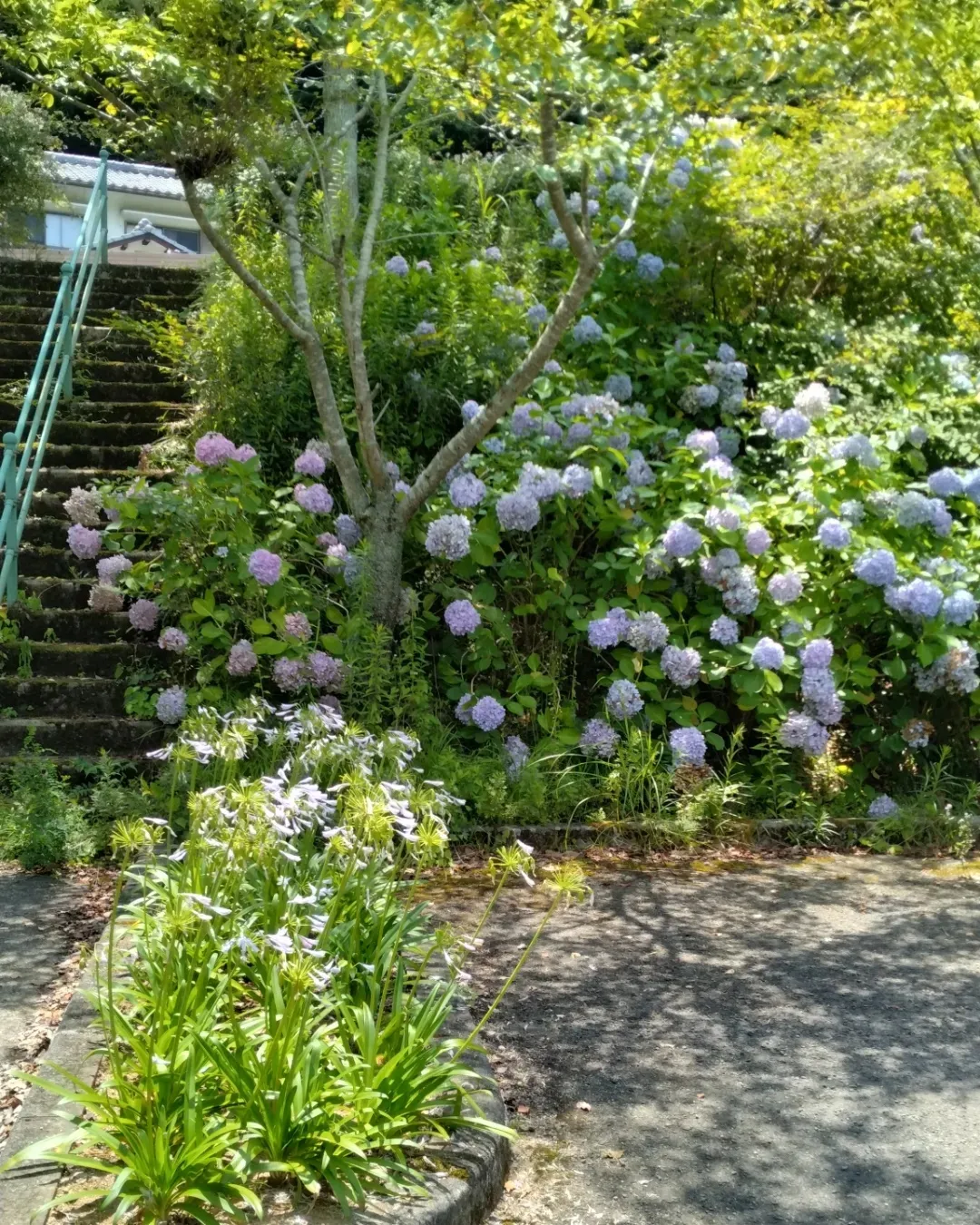 避暑地塩江に納涼にきました🎐