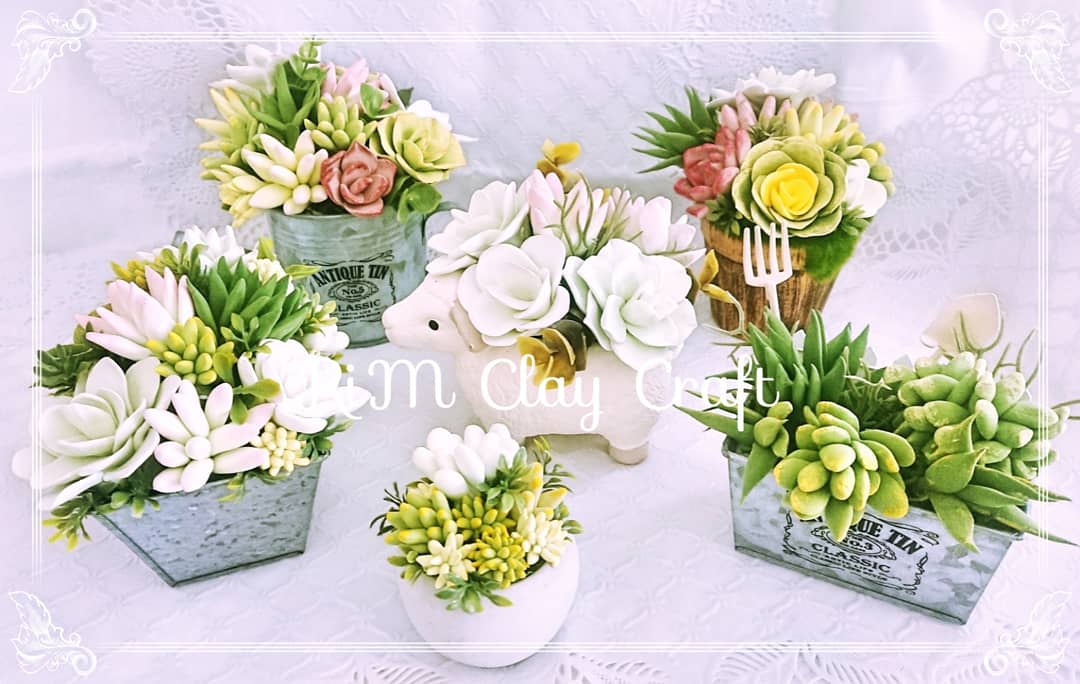 淡いトーンの多肉植物