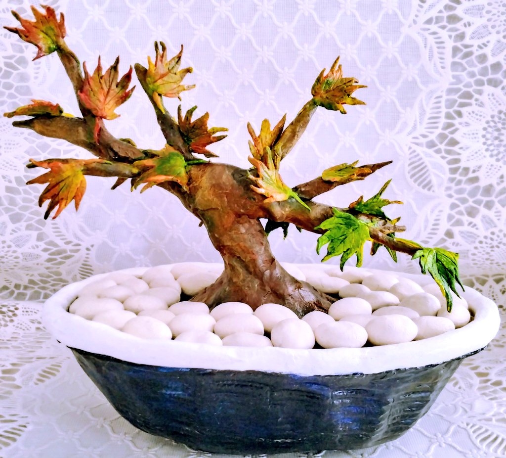 盆栽の新作ができました🌿