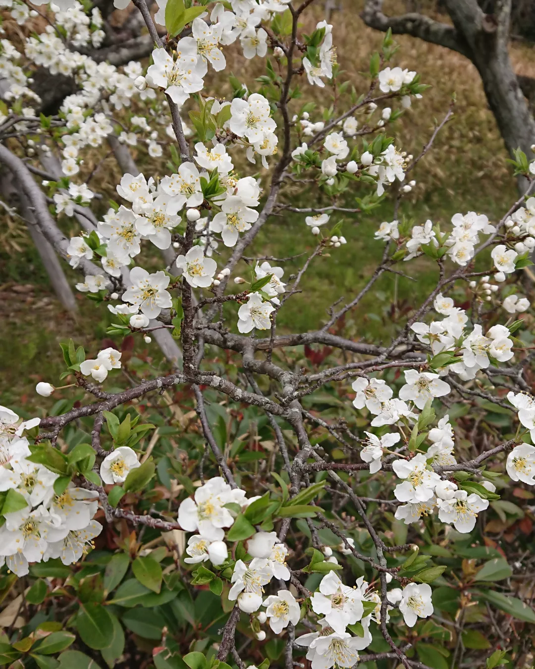 リフレッシュの場所