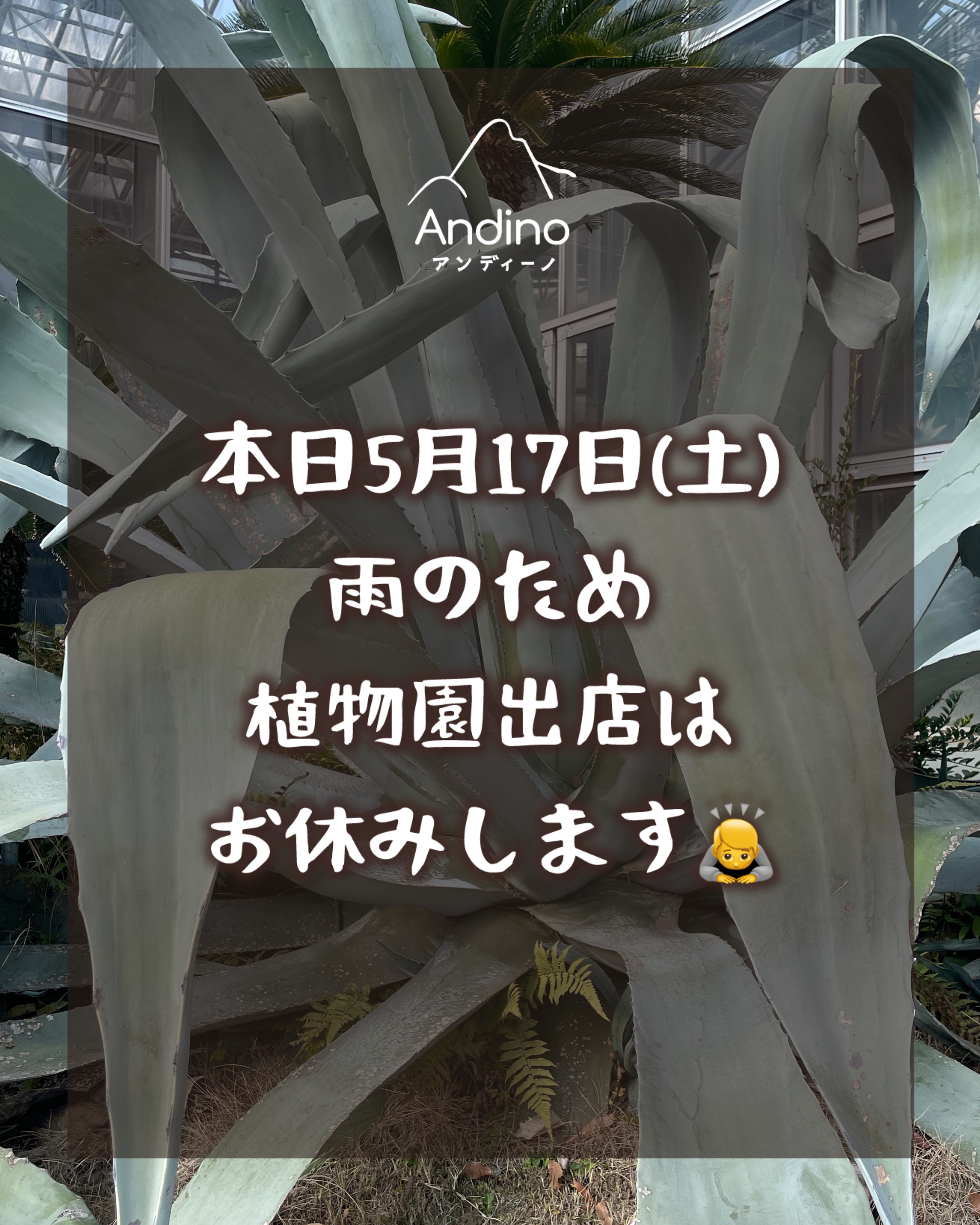 【⚠️5月17日(土) 出店お休みのお知らせ】