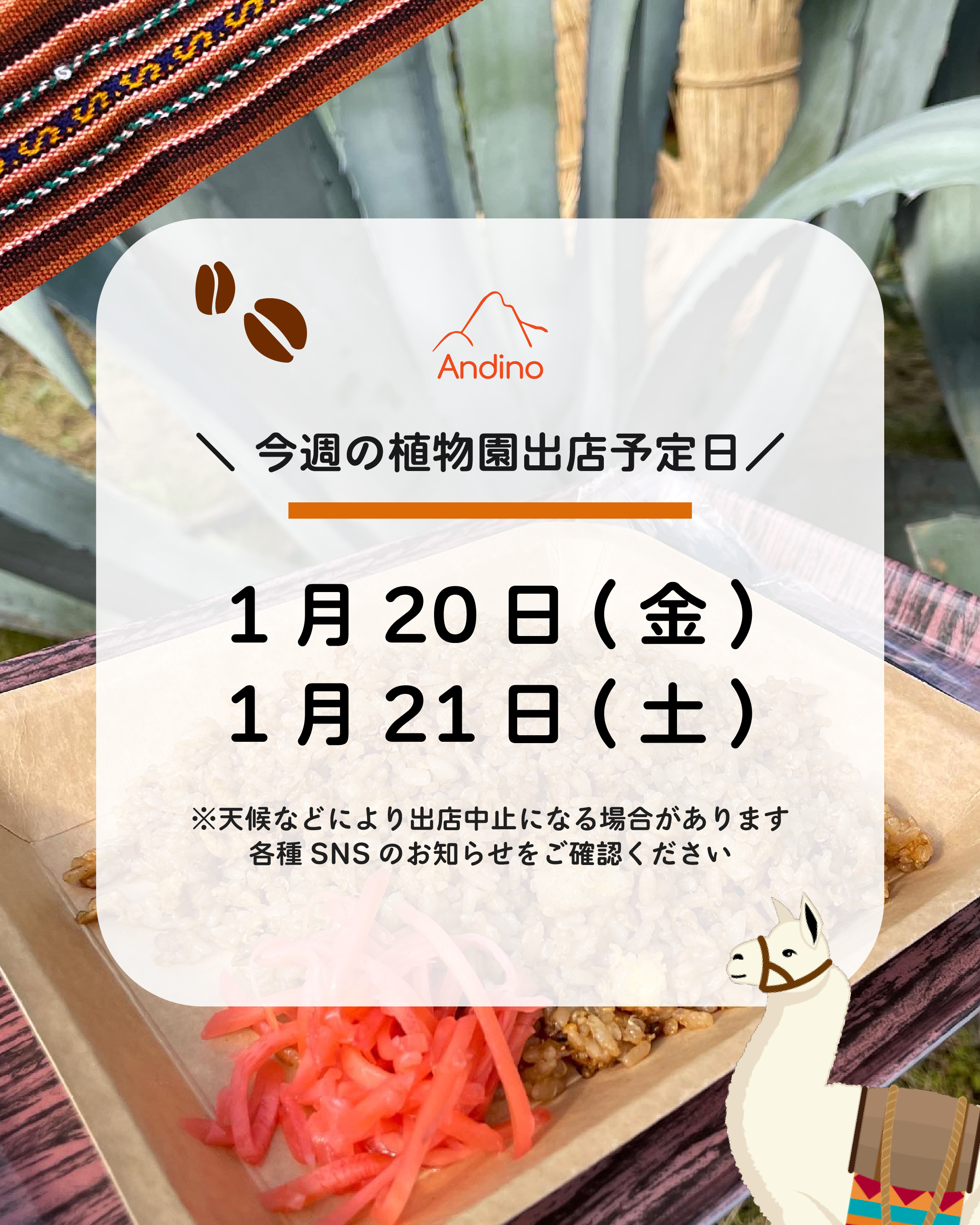 【📢今週の出店予定日のお知らせ1月20日(金)、21日(土)】