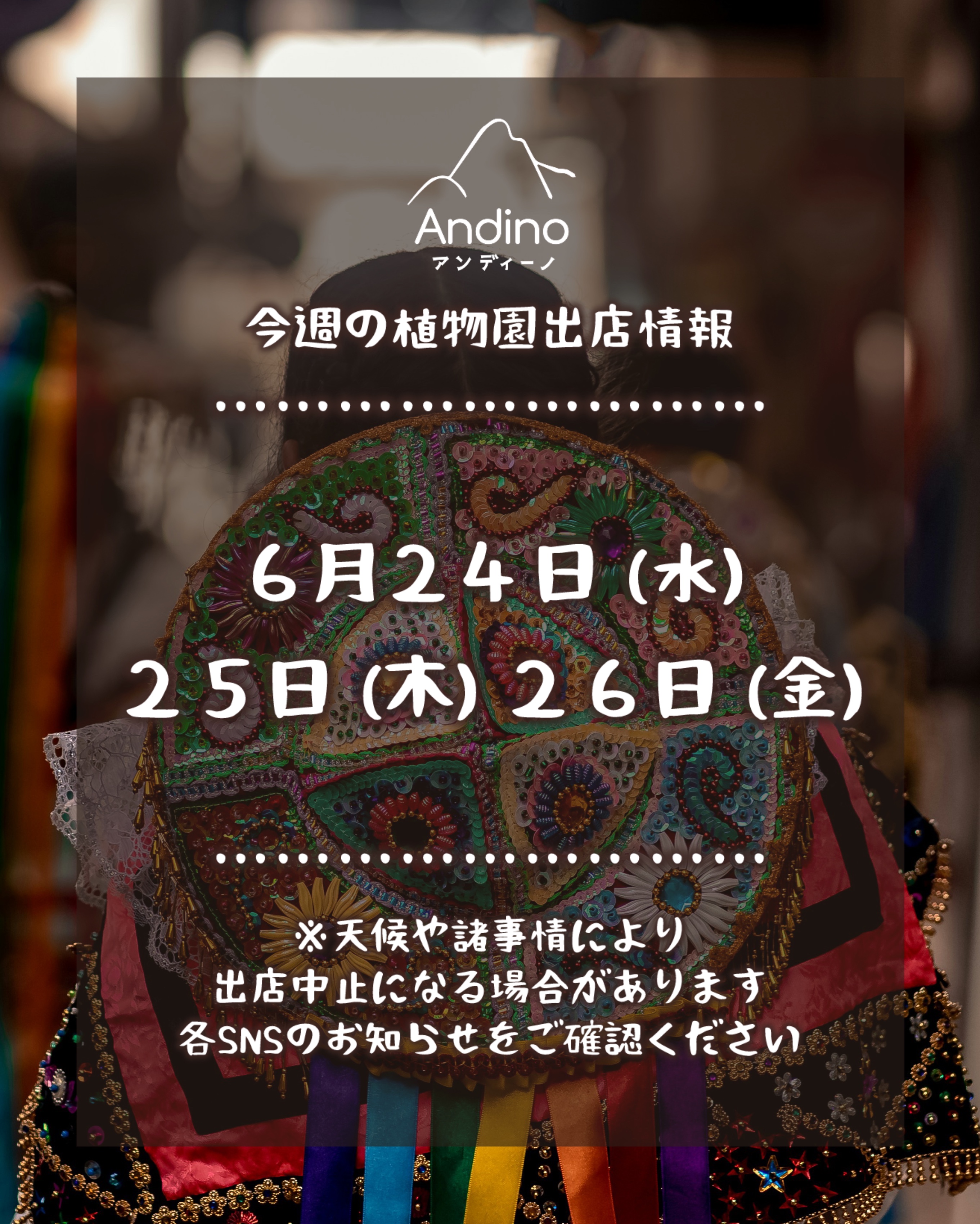 【📢今週の出店予定日のお知らせ🇵🇪6月24日(水)〜26日(金)】