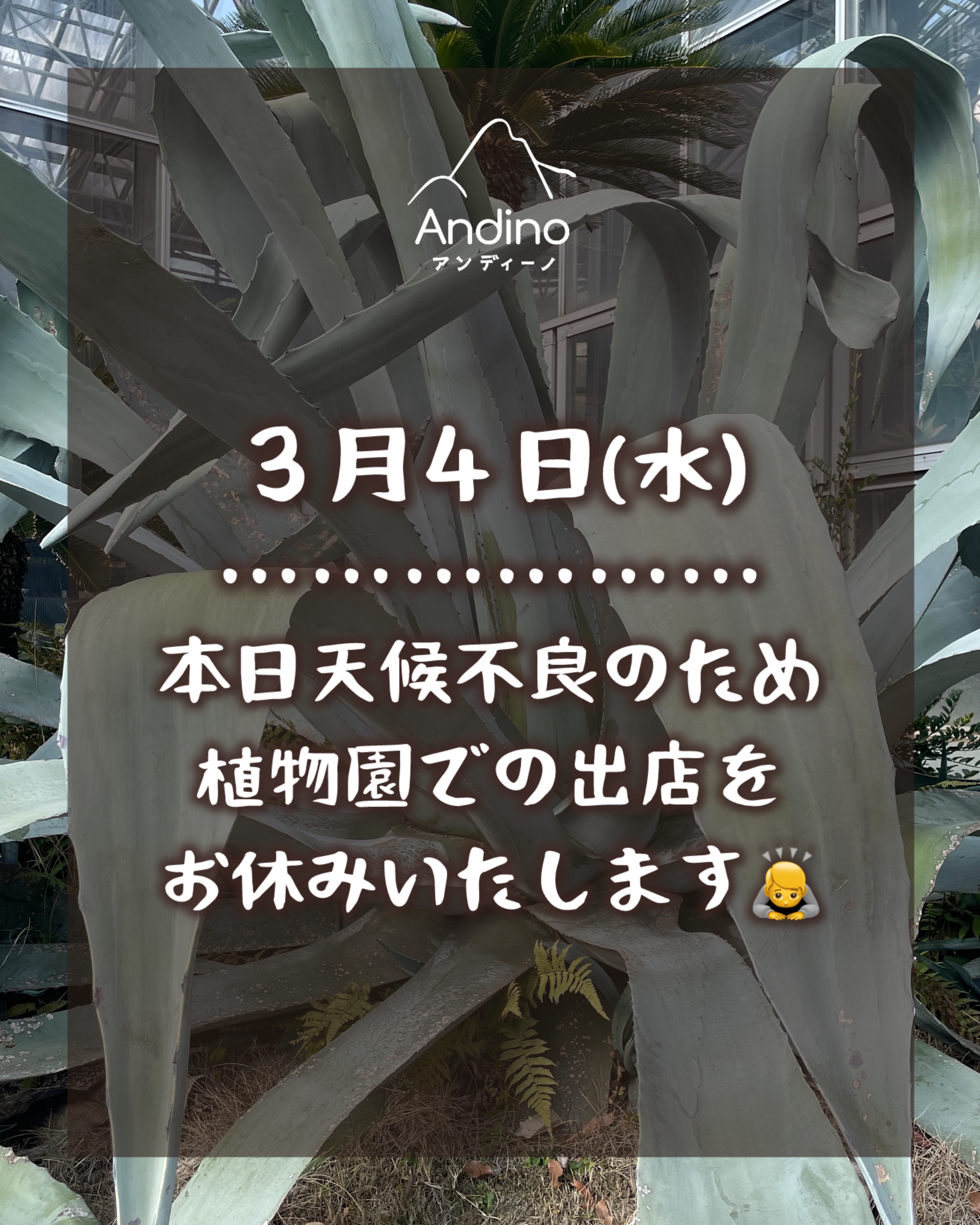 【⚠️本日3月4日(水)植物園出店お休みします】