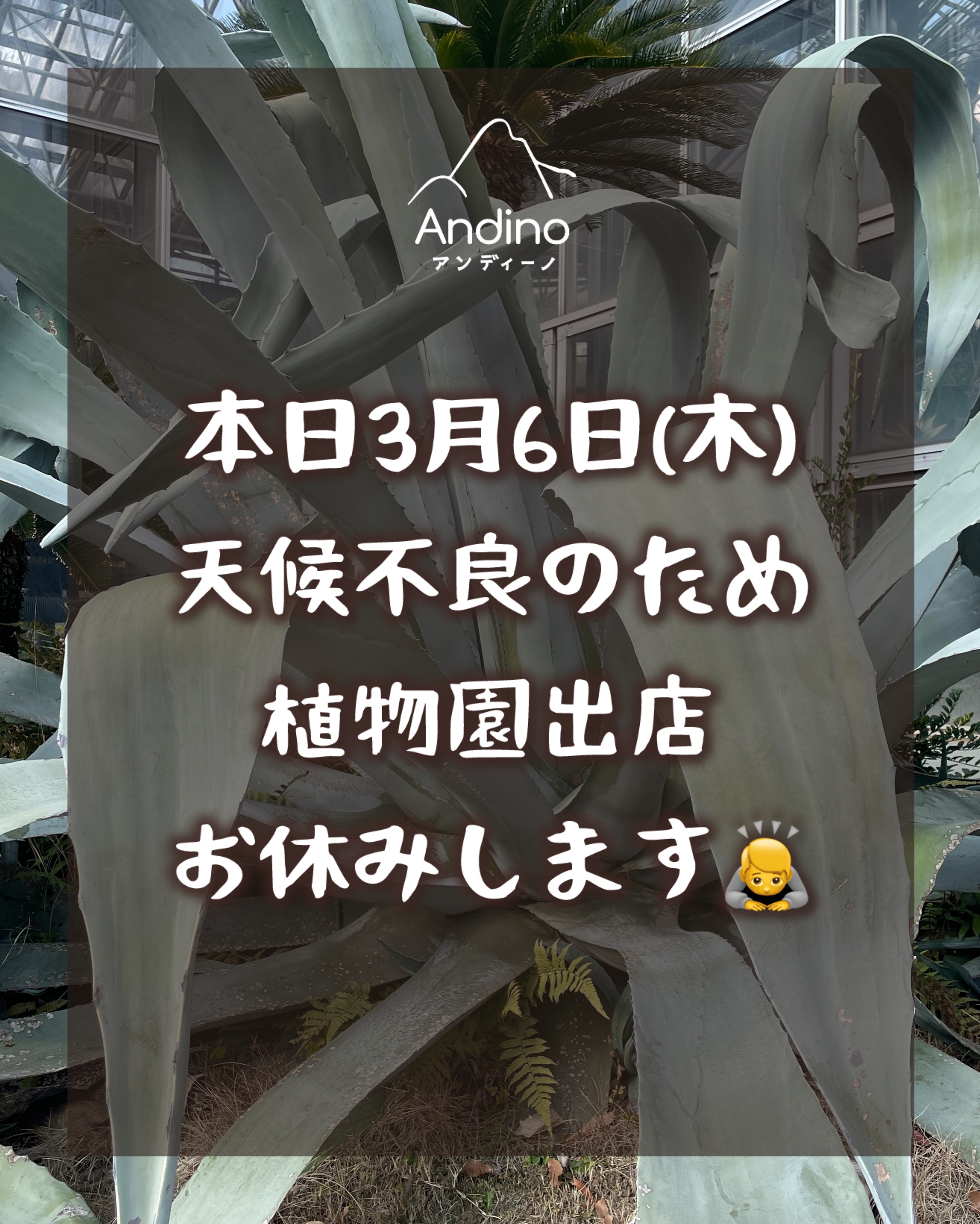 【⚠️3月6日(木) 植物園出店お休みのお知らせ】