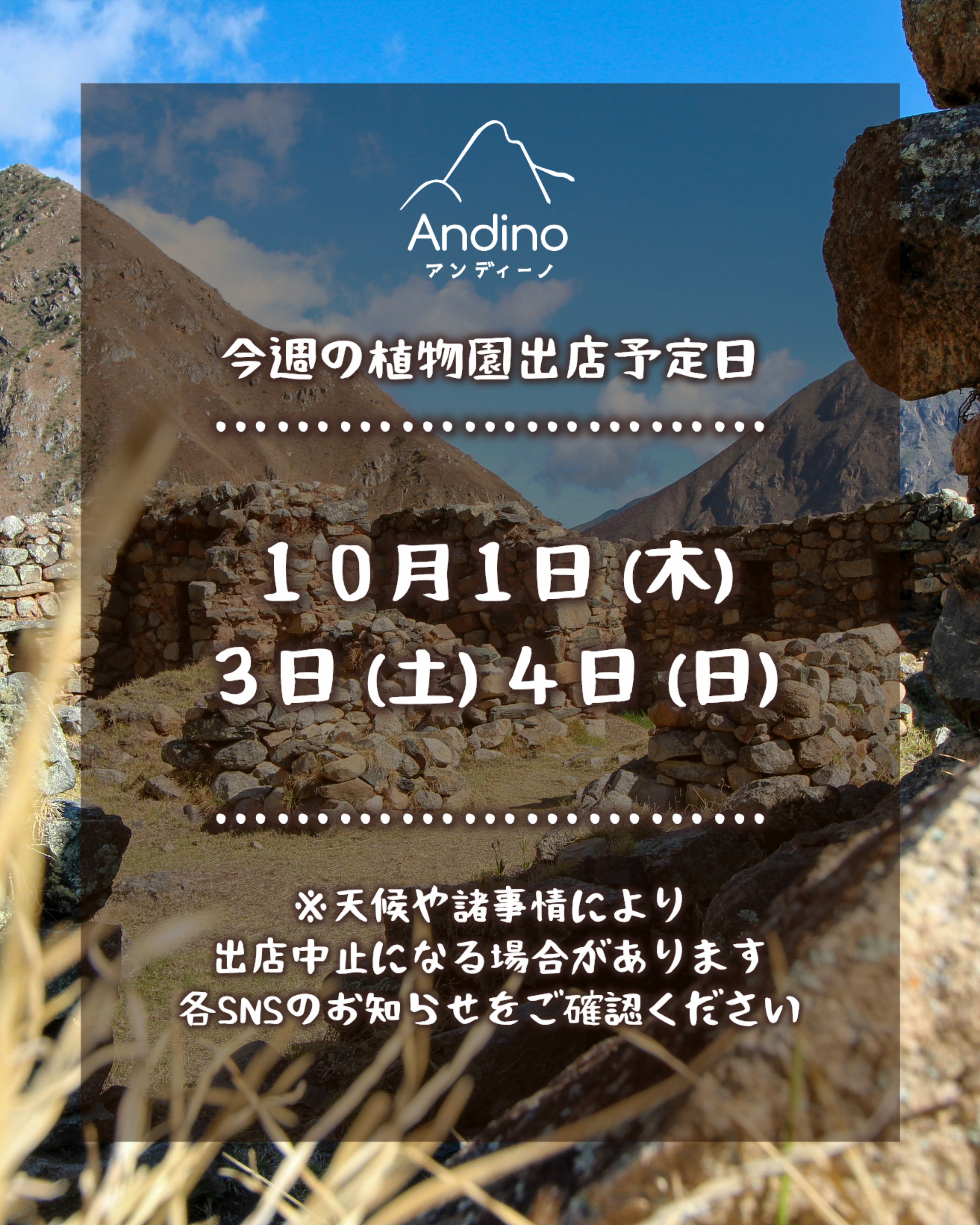 【📢今週の出店予定日のお知らせ🇵🇪10月1日(木)〜】