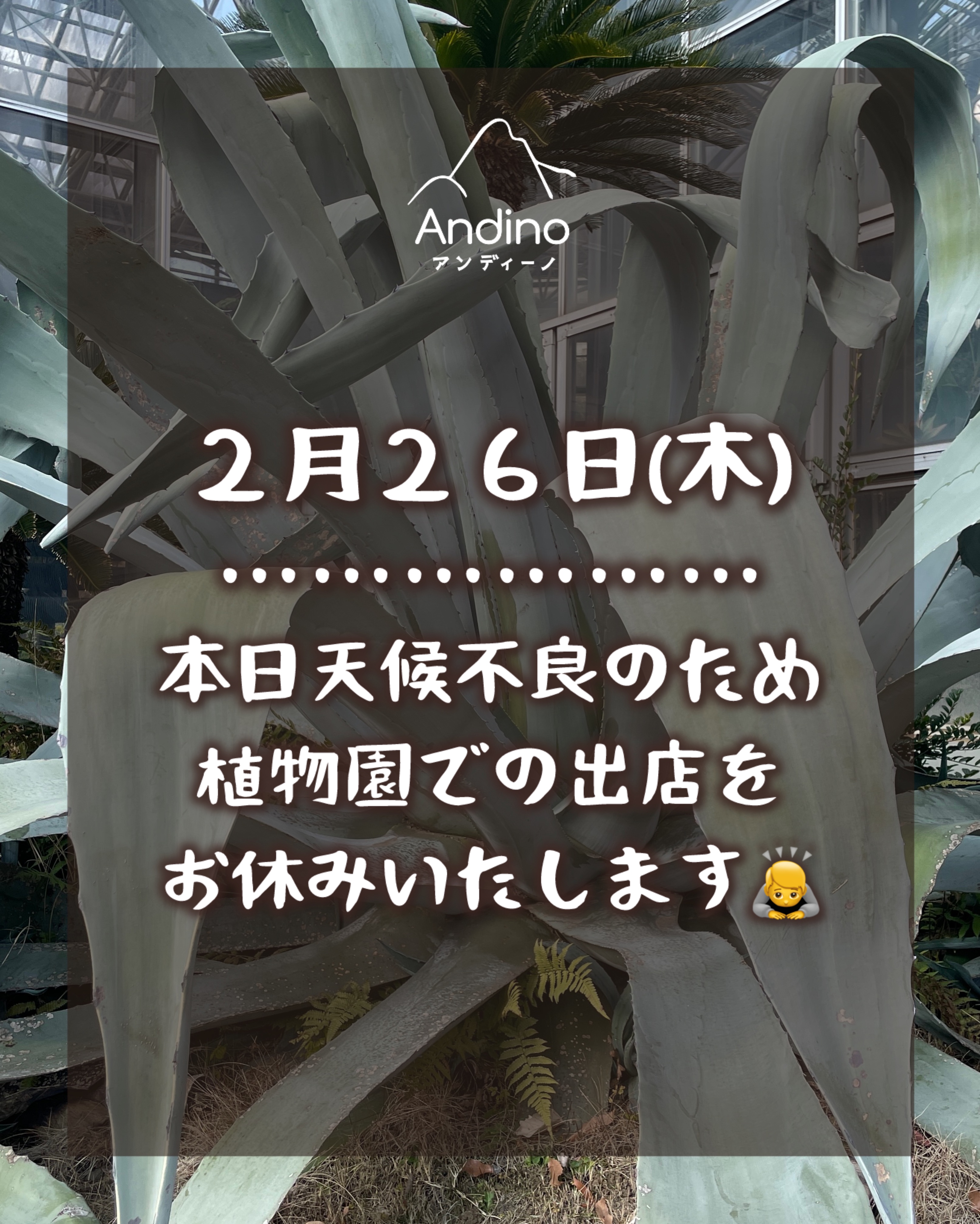 【⚠️本日2月26日(金)植物園出店お休みのお知らせ】