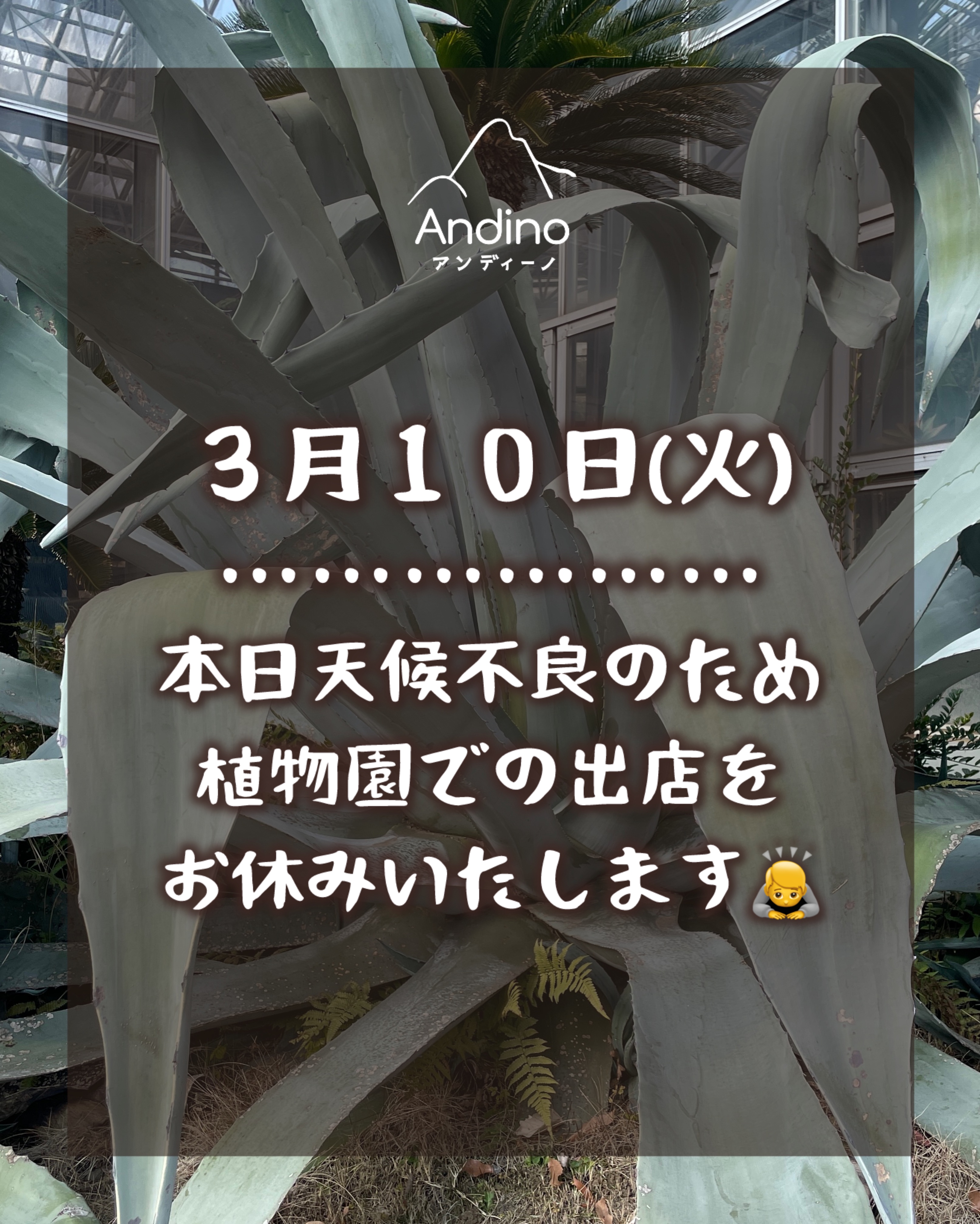 【⚠️本日3月10日(火)植物園出店お休みします】