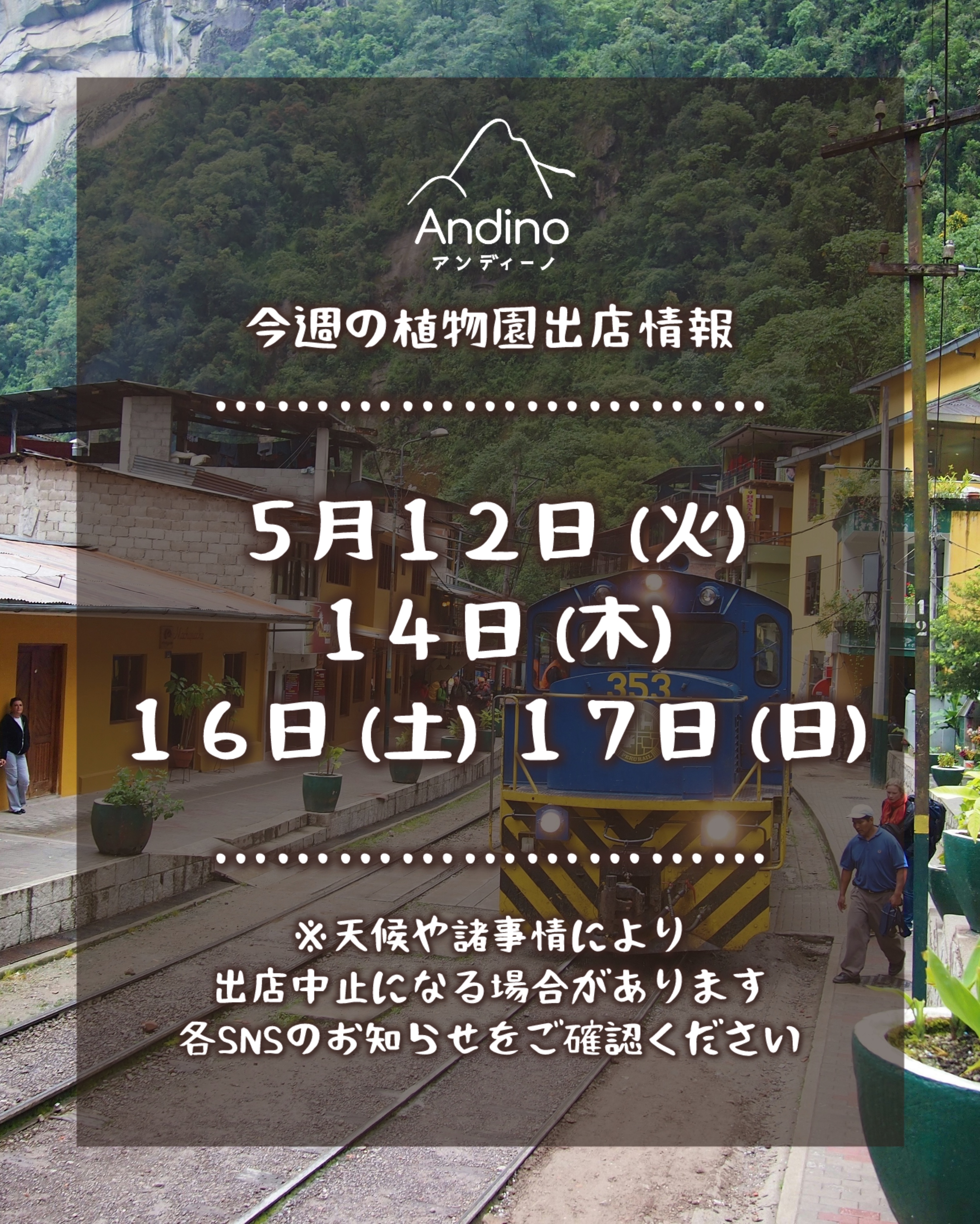 【📢今週の出店予定日のお知らせ🇵🇪5月12日(火)〜】