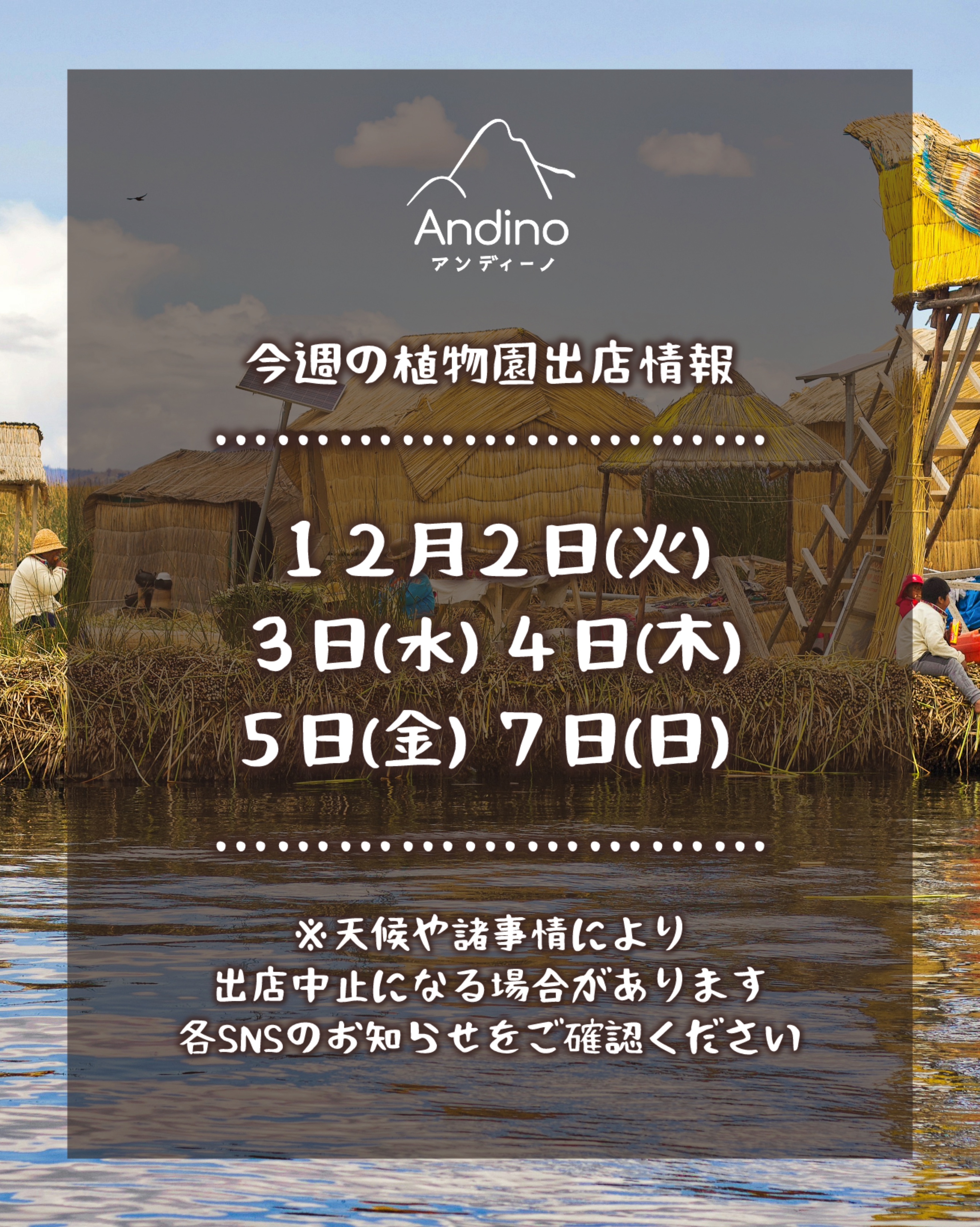 【📢今週の出店予定日のお知らせ🇵🇪12月2日(火)〜】