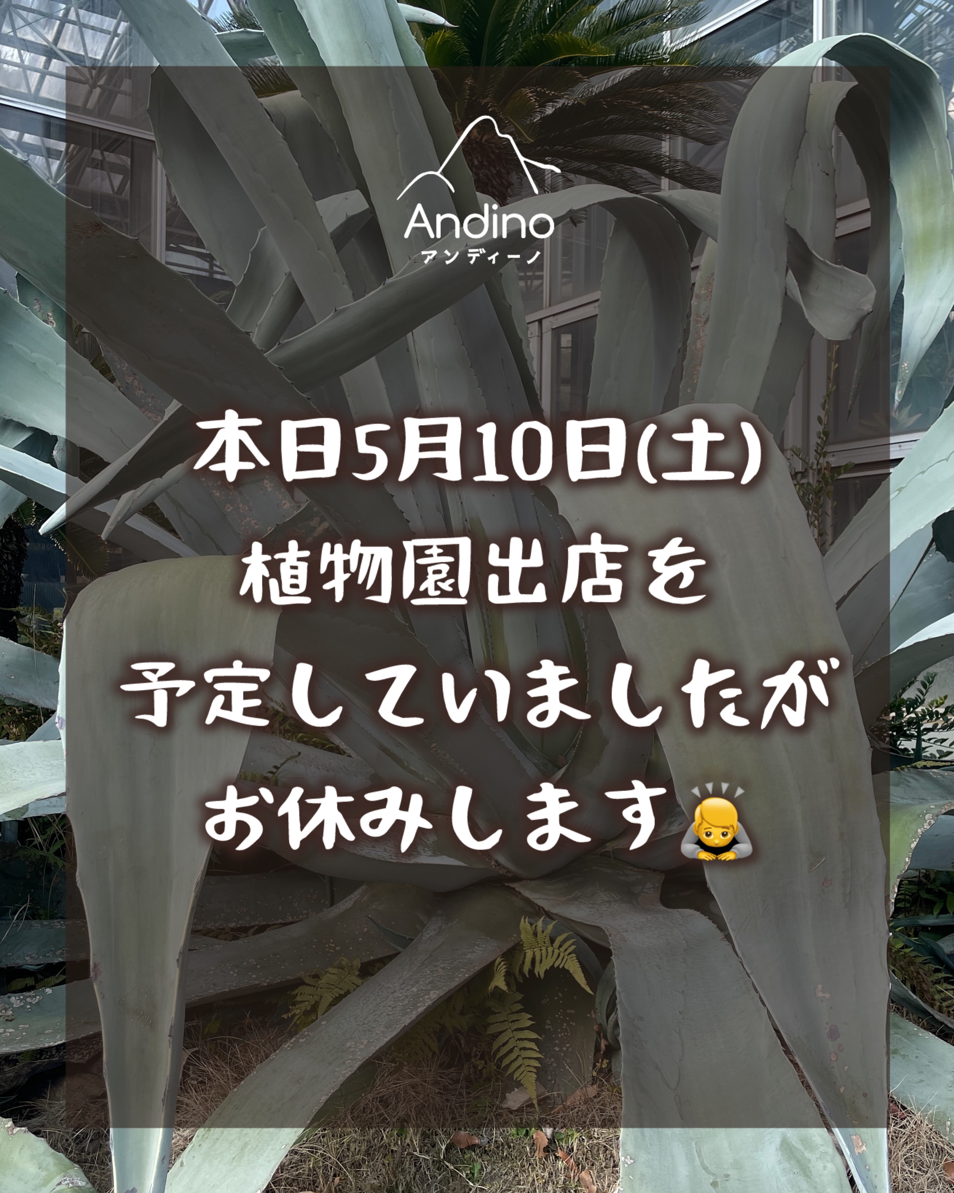 【⚠️5月10日(土) 出店お休みのお知らせ】