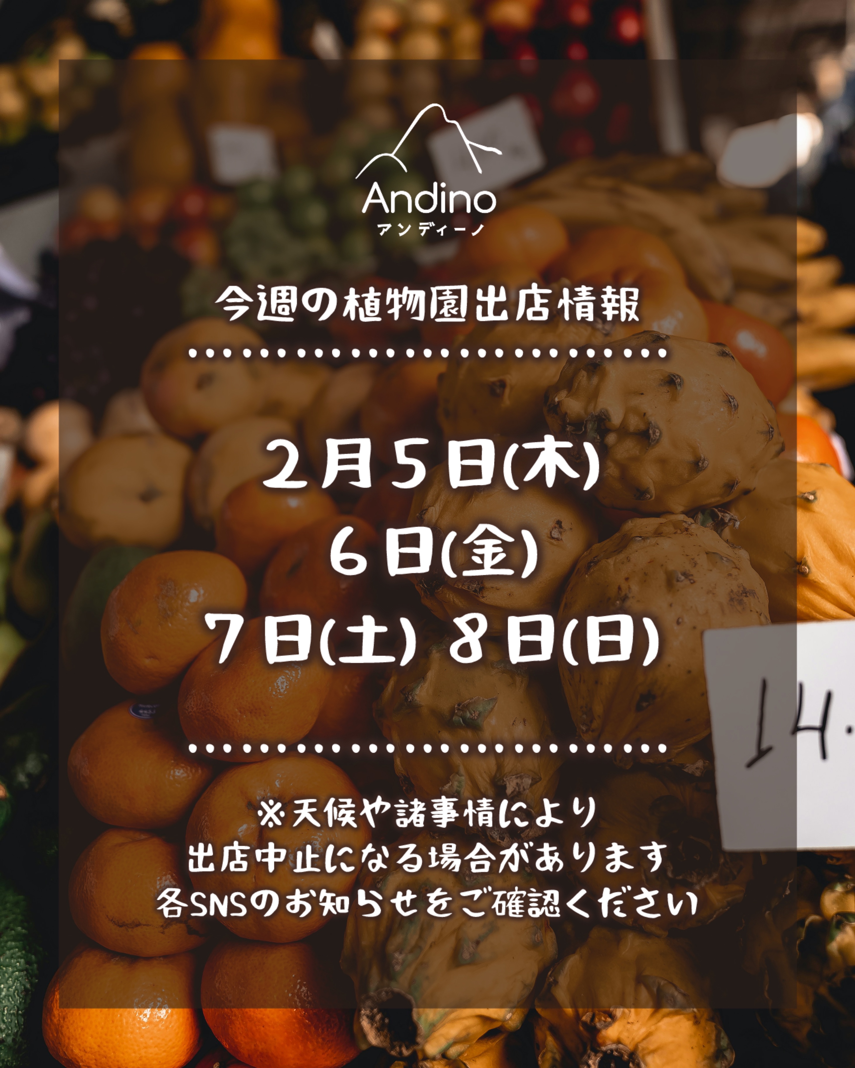 【📢今週の出店予定日のお知らせ🇵🇪2月5日(木)〜】