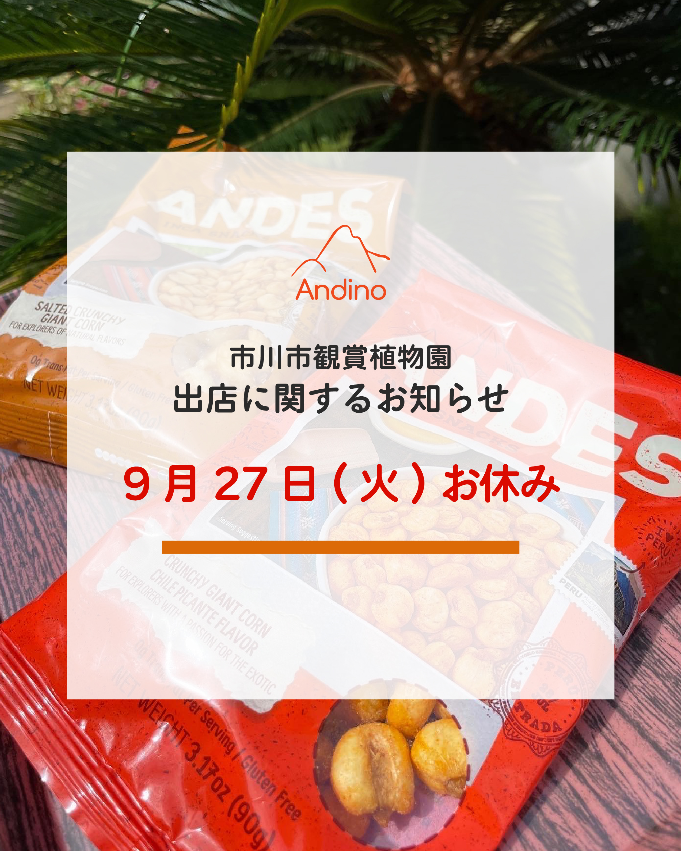 【📢本日9月27日(火)の市川市観賞植物園の出店はお休みとなります🙇】