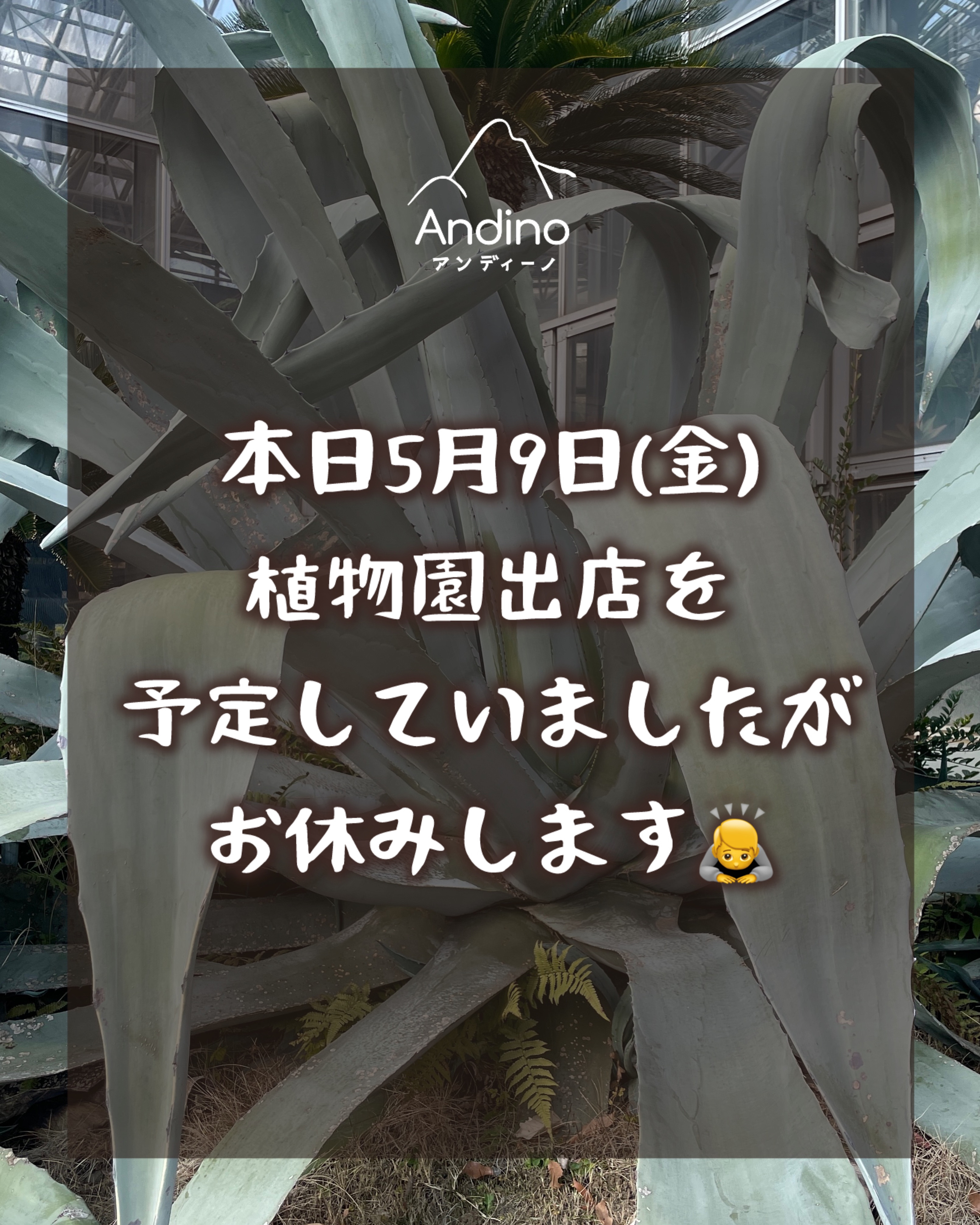 【⚠️5月9日(金) 出店お休みのお知らせ】
