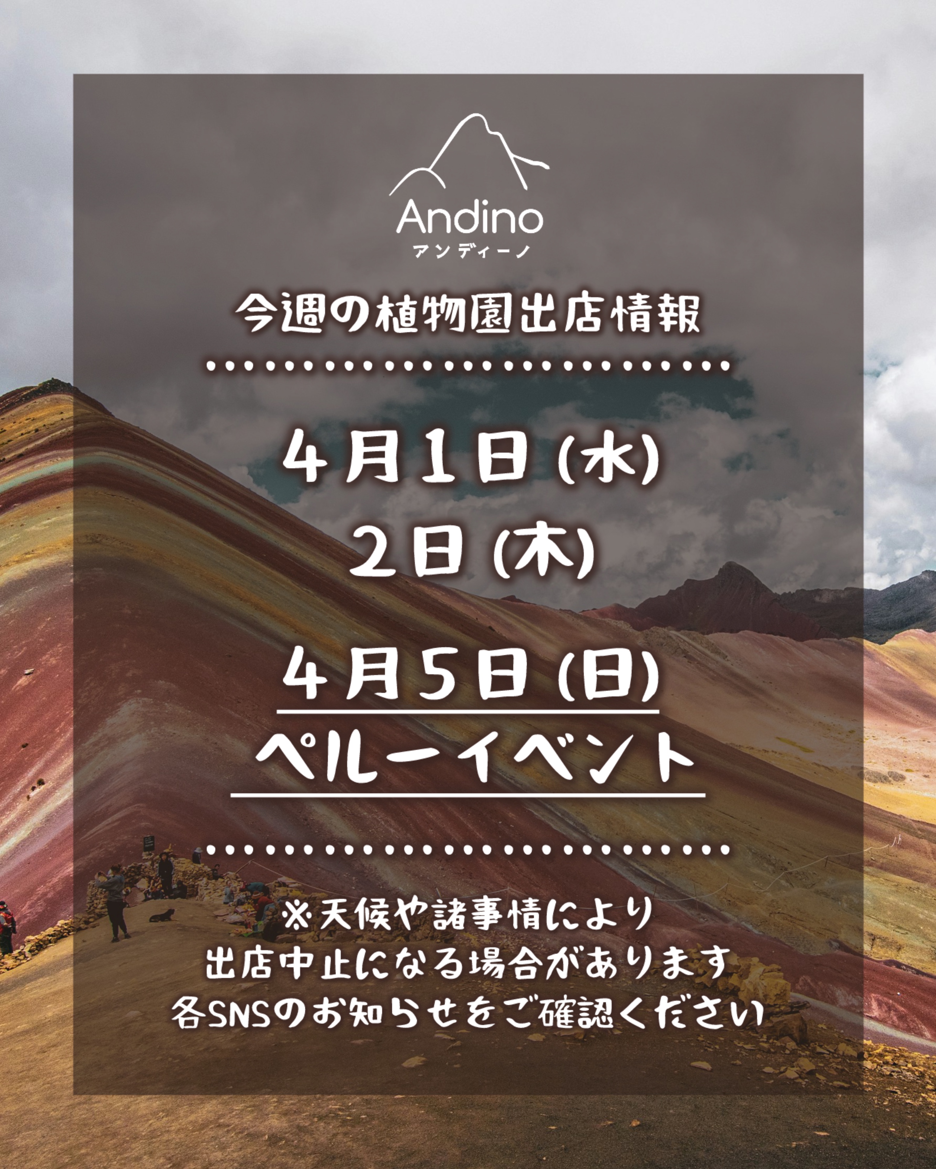 【📢今週の出店予定日のお知らせ🇵🇪4月1日(水)〜】