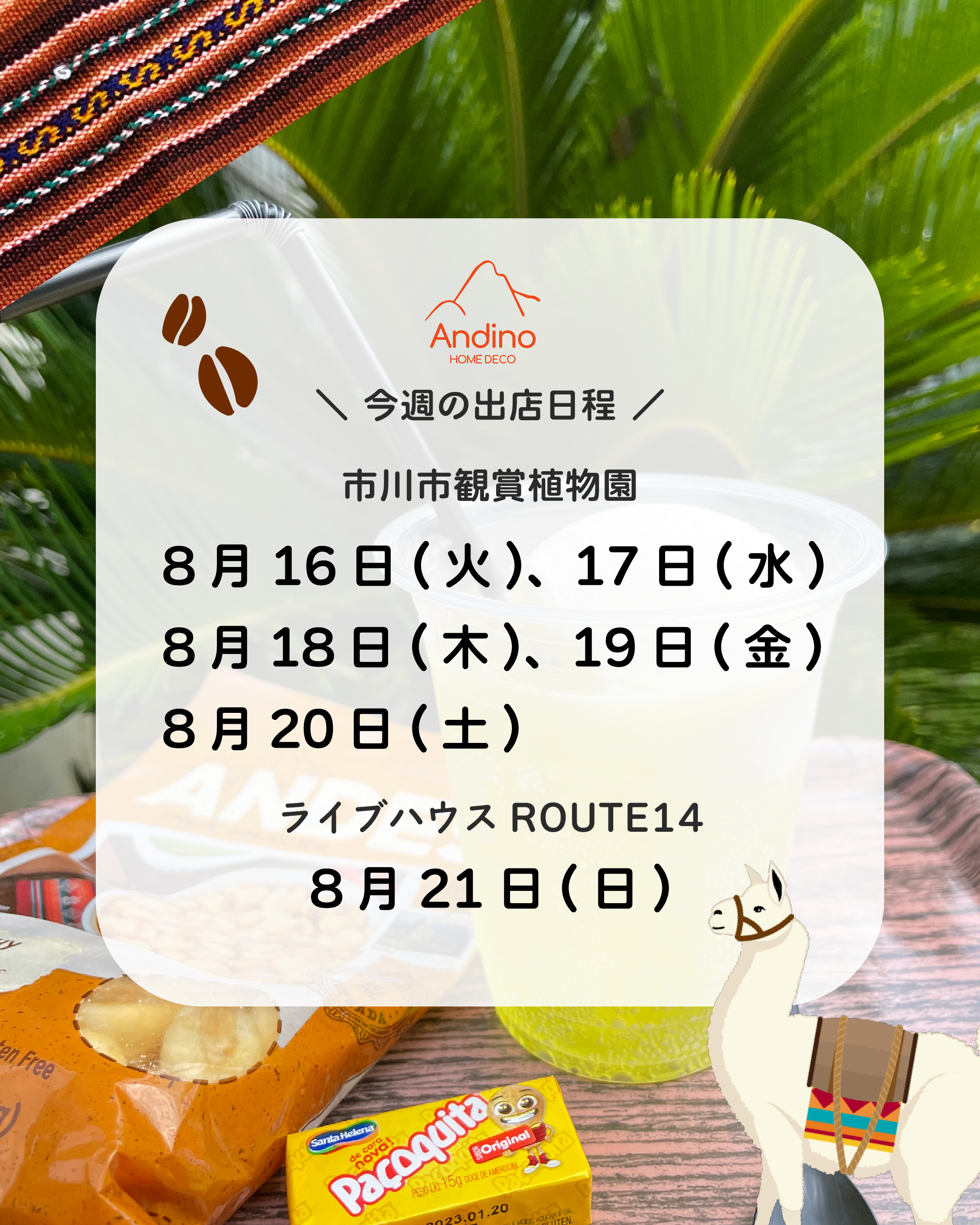 【今週のAndino出店予定日8月16日(火)〜21日(日)】