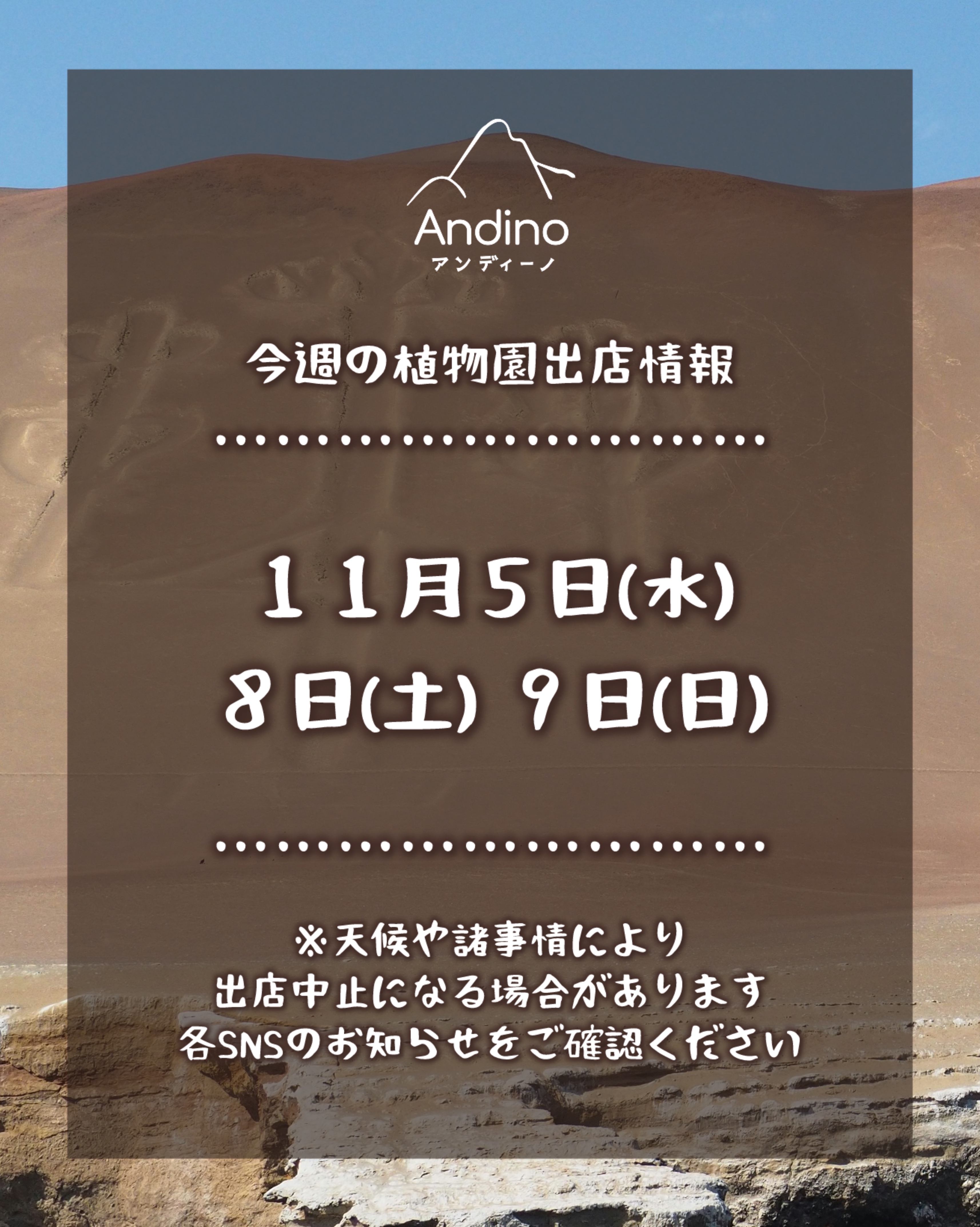 【📢今週の出店予定日のお知らせ🇵🇪11月5日(水)・8日(土)・9日(日)】