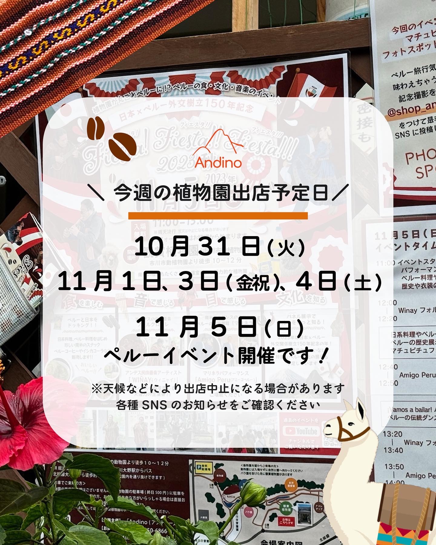 【📢今週の出店予定日のお知らせ10月31日(火)、11月1日(水)、3日(金)〜5日(日)】