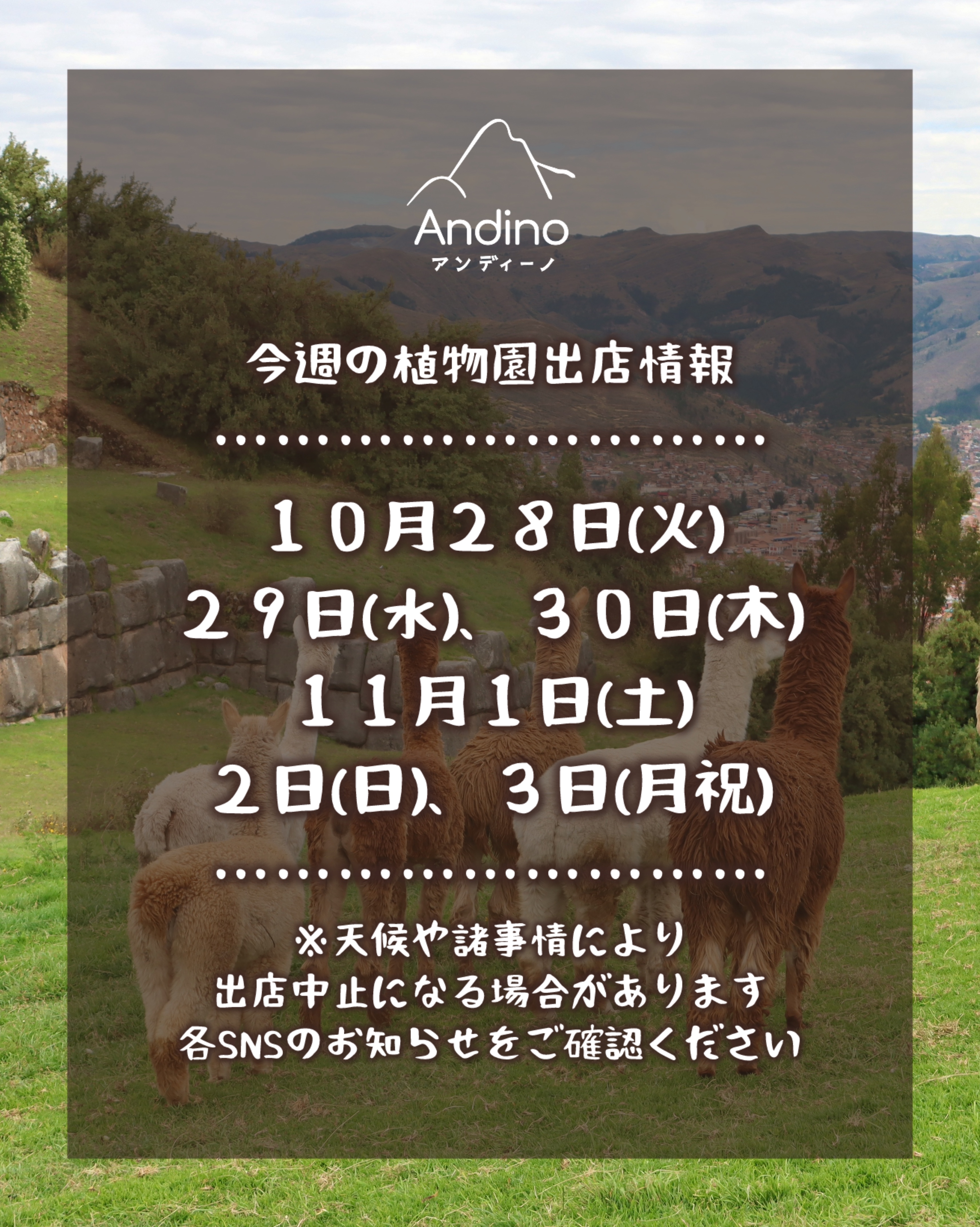 【📢今週の出店予定日のお知らせ🇵🇪10月28日(火)〜11月3日(月祝)】