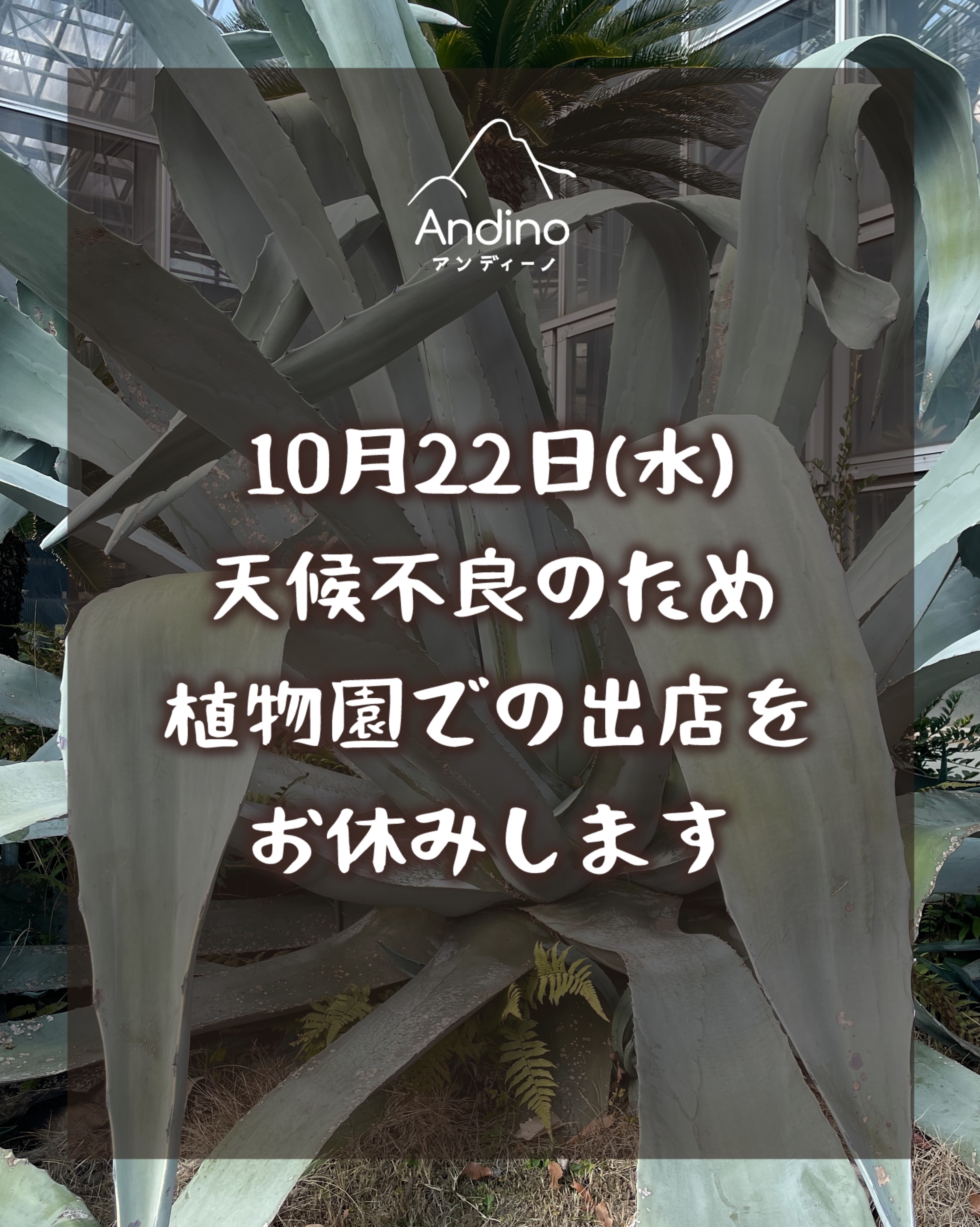 【⚠️10月22日(水)植物園出店お休みのお知らせ】