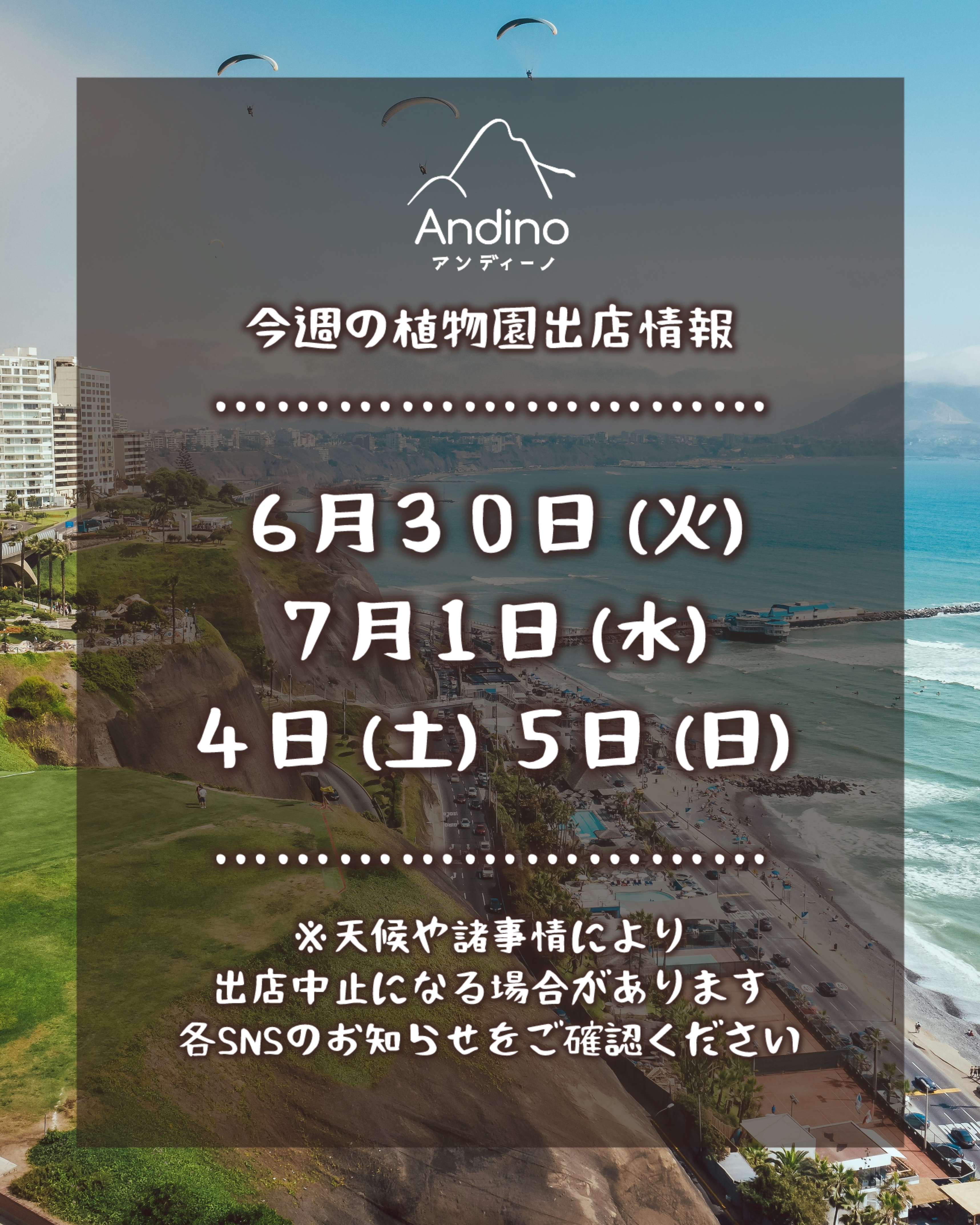 【📢今週の出店予定日のお知らせ🇵🇪6月30日(火)〜】