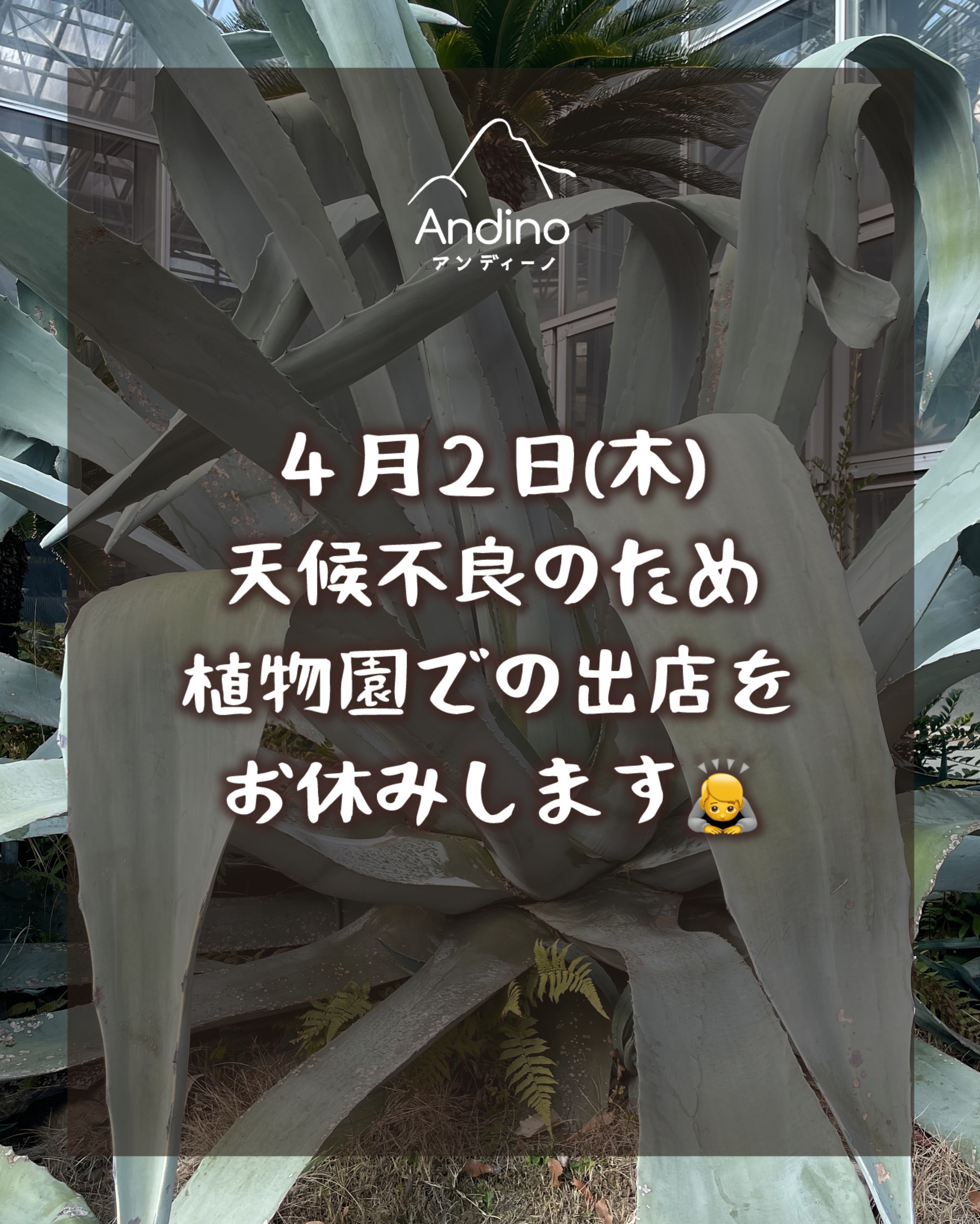 【⚠️4月2日(木) 植物園出店について】