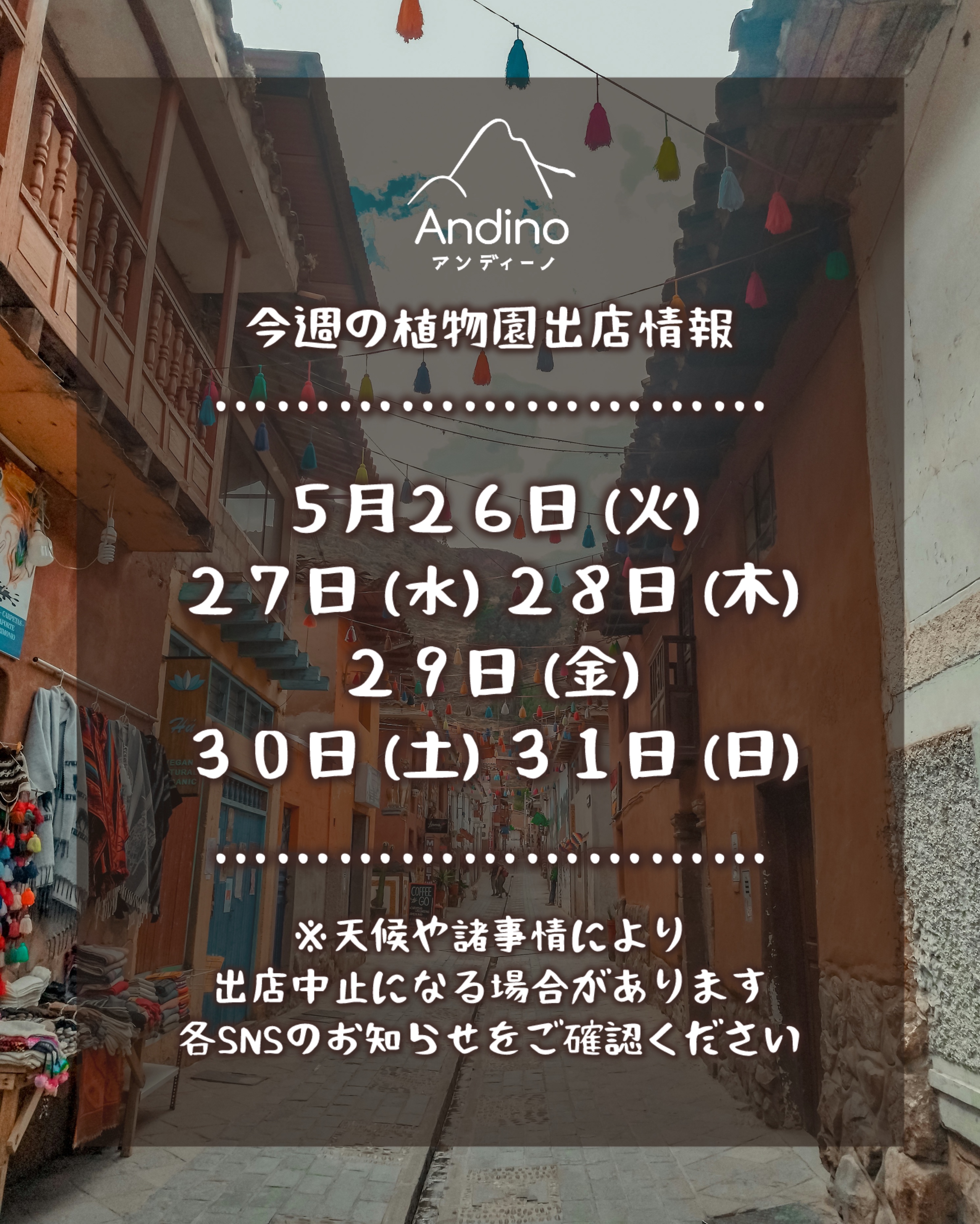 【📢今週の出店予定日のお知らせ🇵🇪5月26日(火)〜】