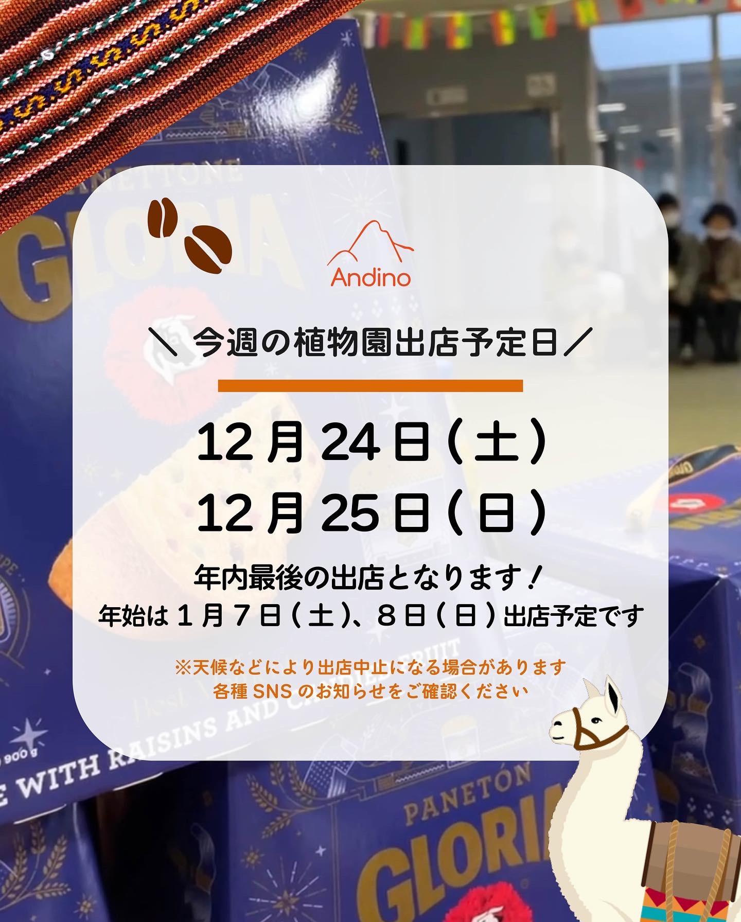 【📢今週のAndinoCAFE出店予定日🇵🇪12月24日(土)、25日(日)】