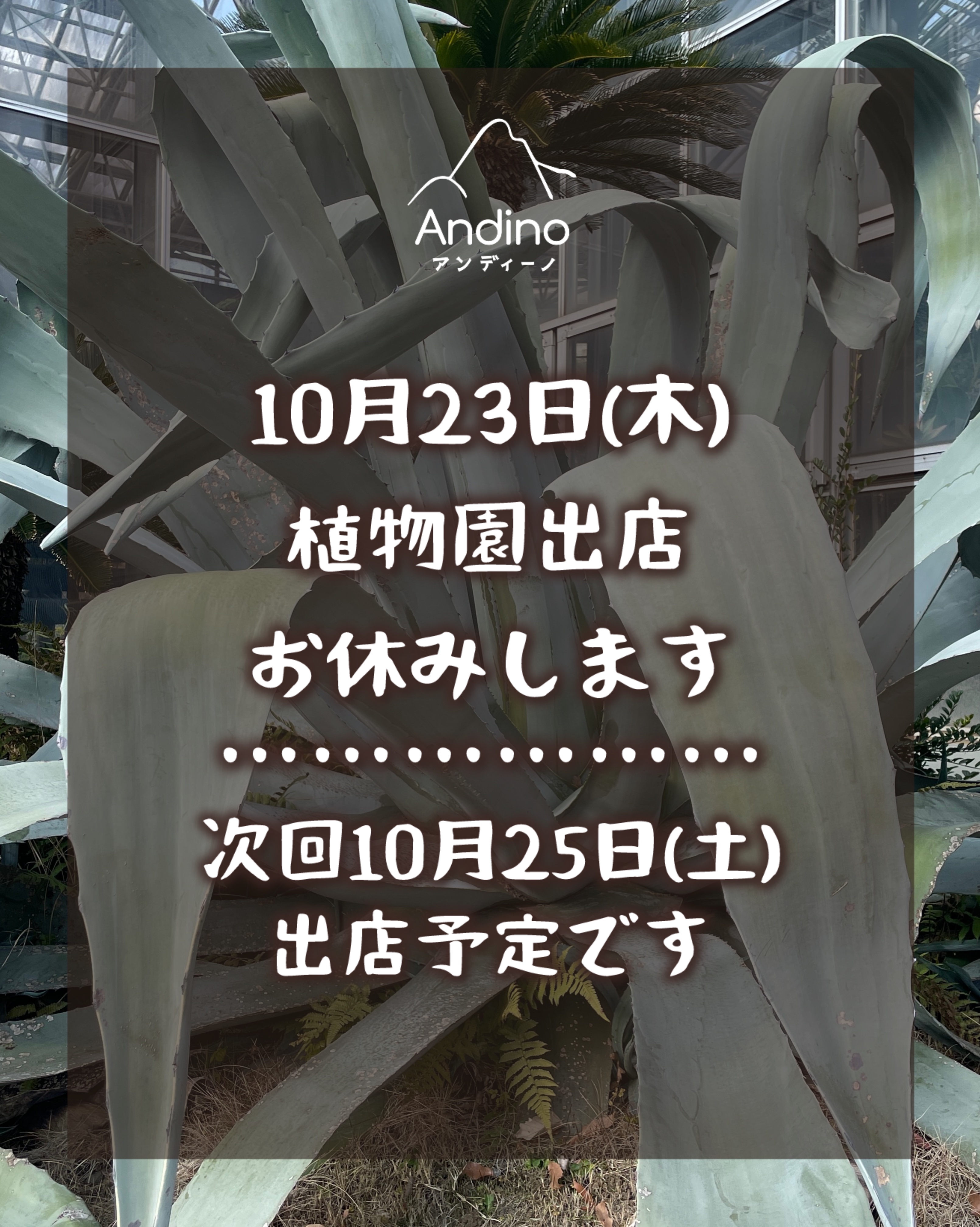 【⚠️10月23日(木)植物園出店お休みのお知らせ】