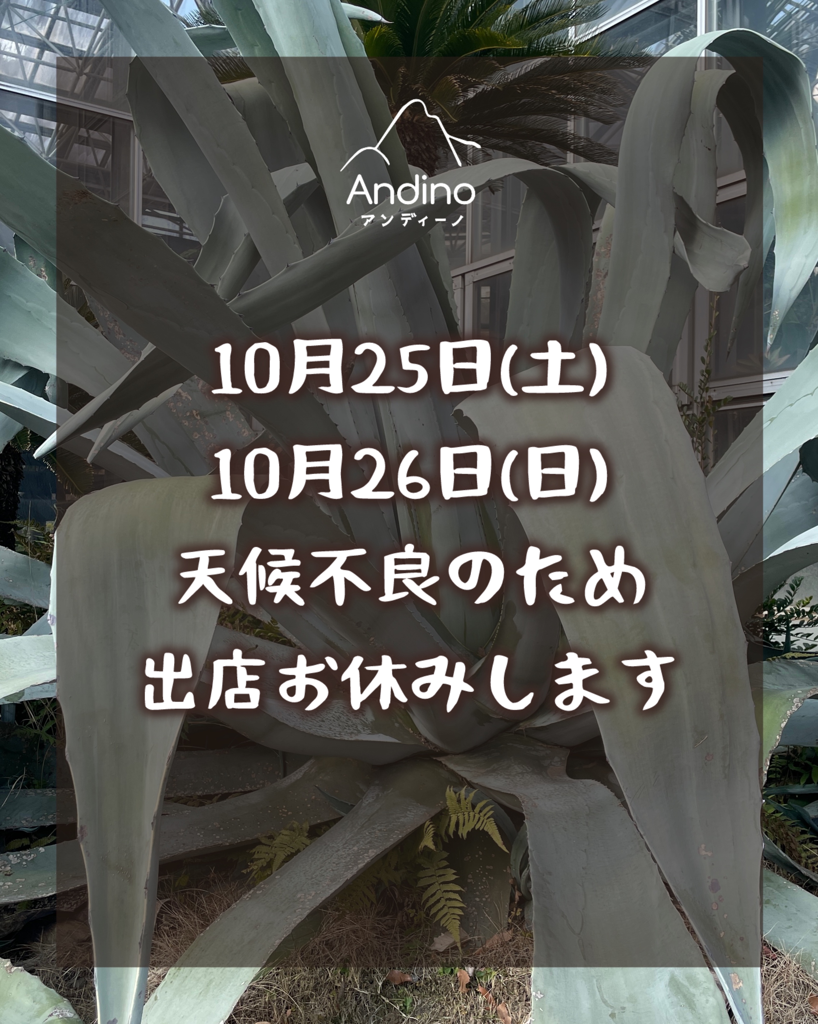 【⚠️10月25日(土)、26日(日)植物園出店お休みのお知らせ】