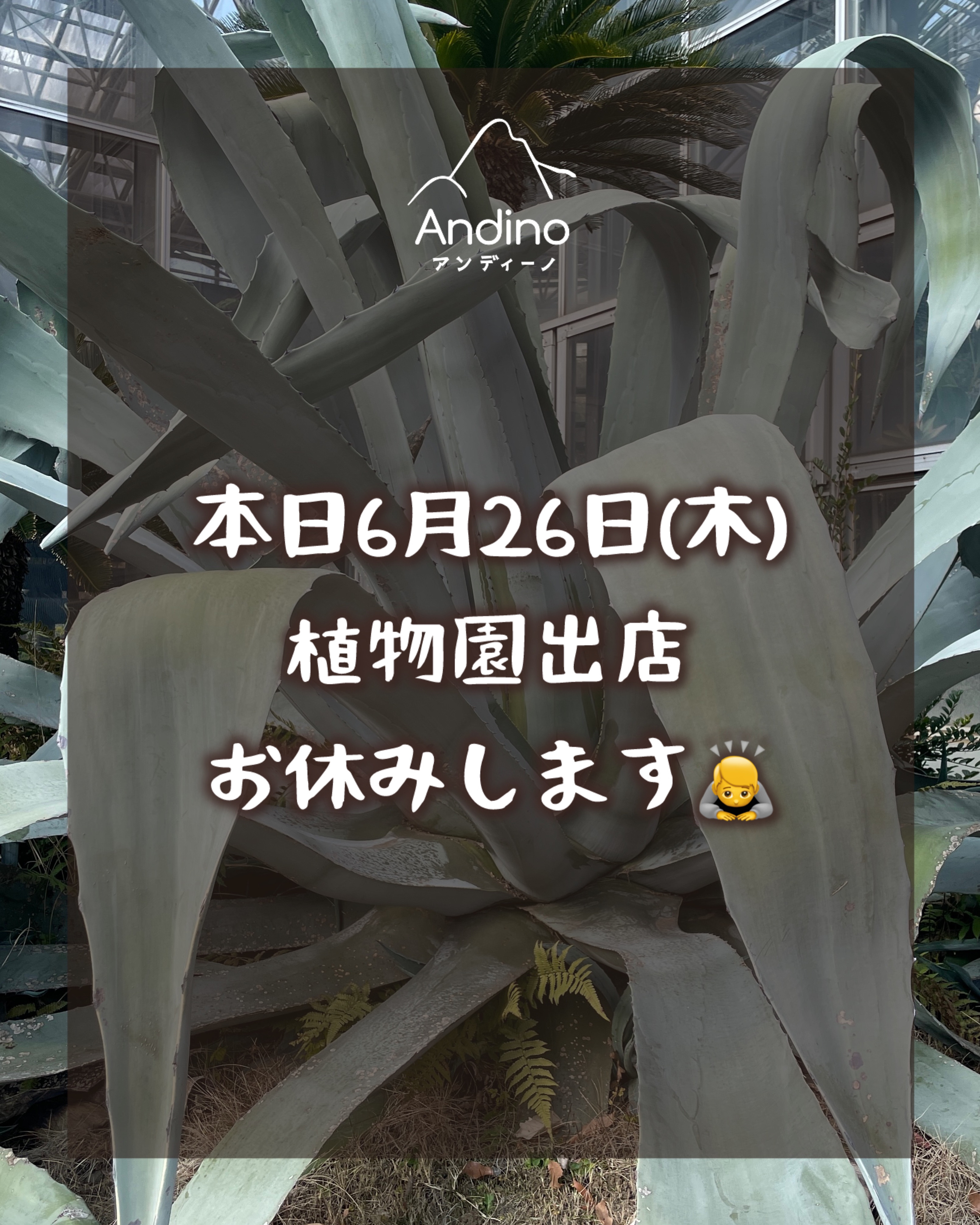 【⚠️6月26日(木) 植物園出店お休みのお知らせ】