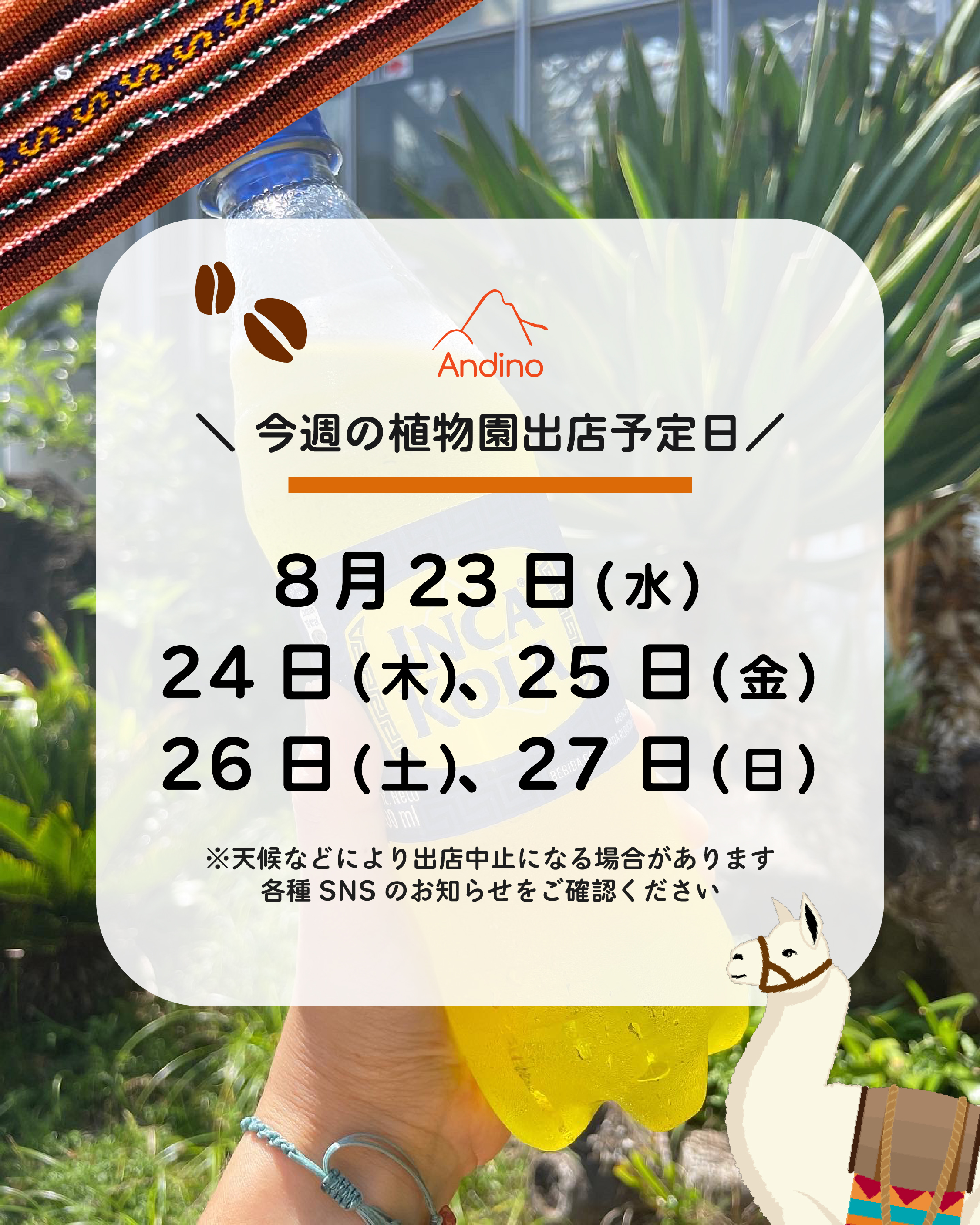 【📢今週の出店予定日のお知らせ🇵🇪8月23日(水)〜27日(日)】