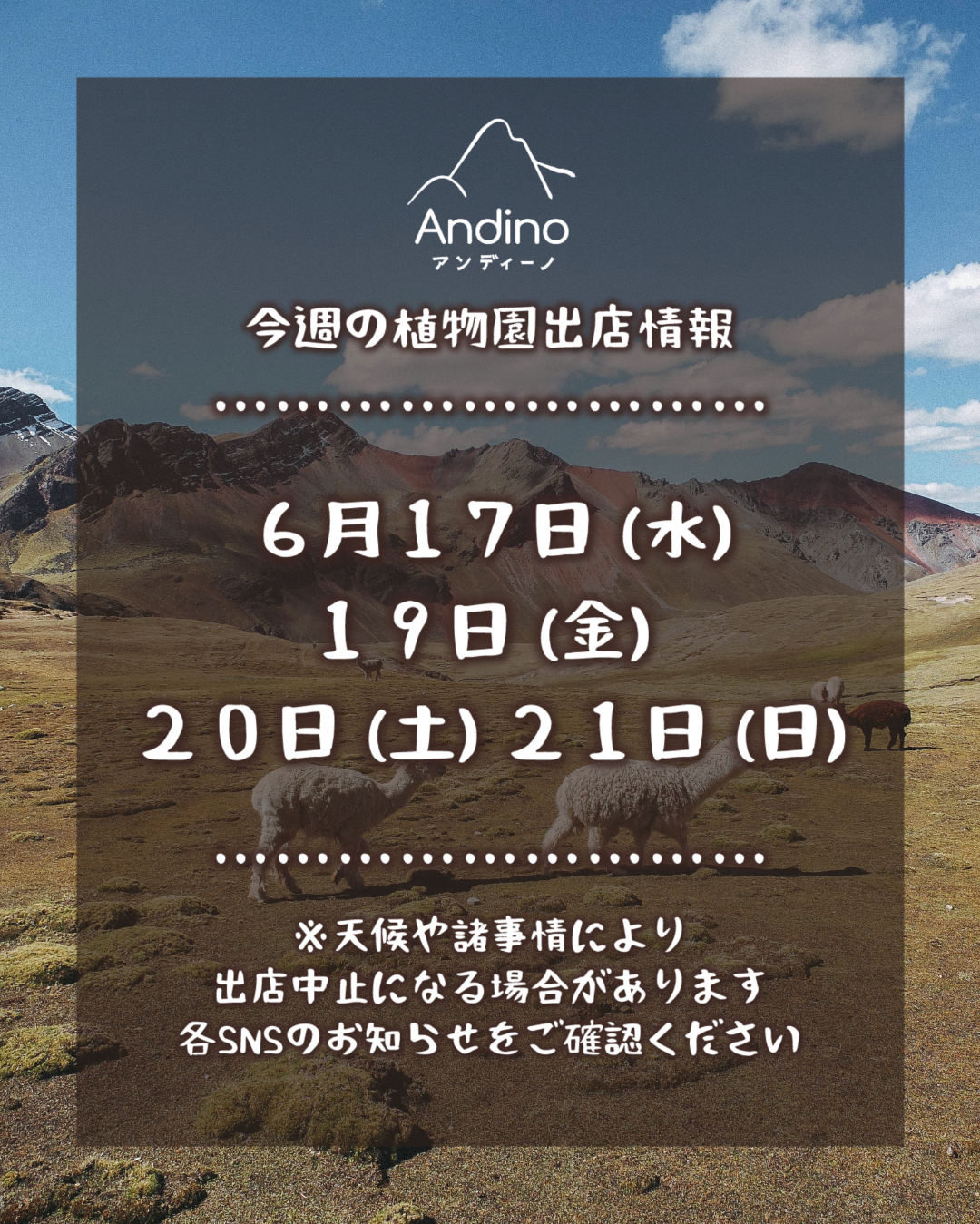 【📢今週の出店予定日のお知らせ🇵🇪6月17日(水)〜】