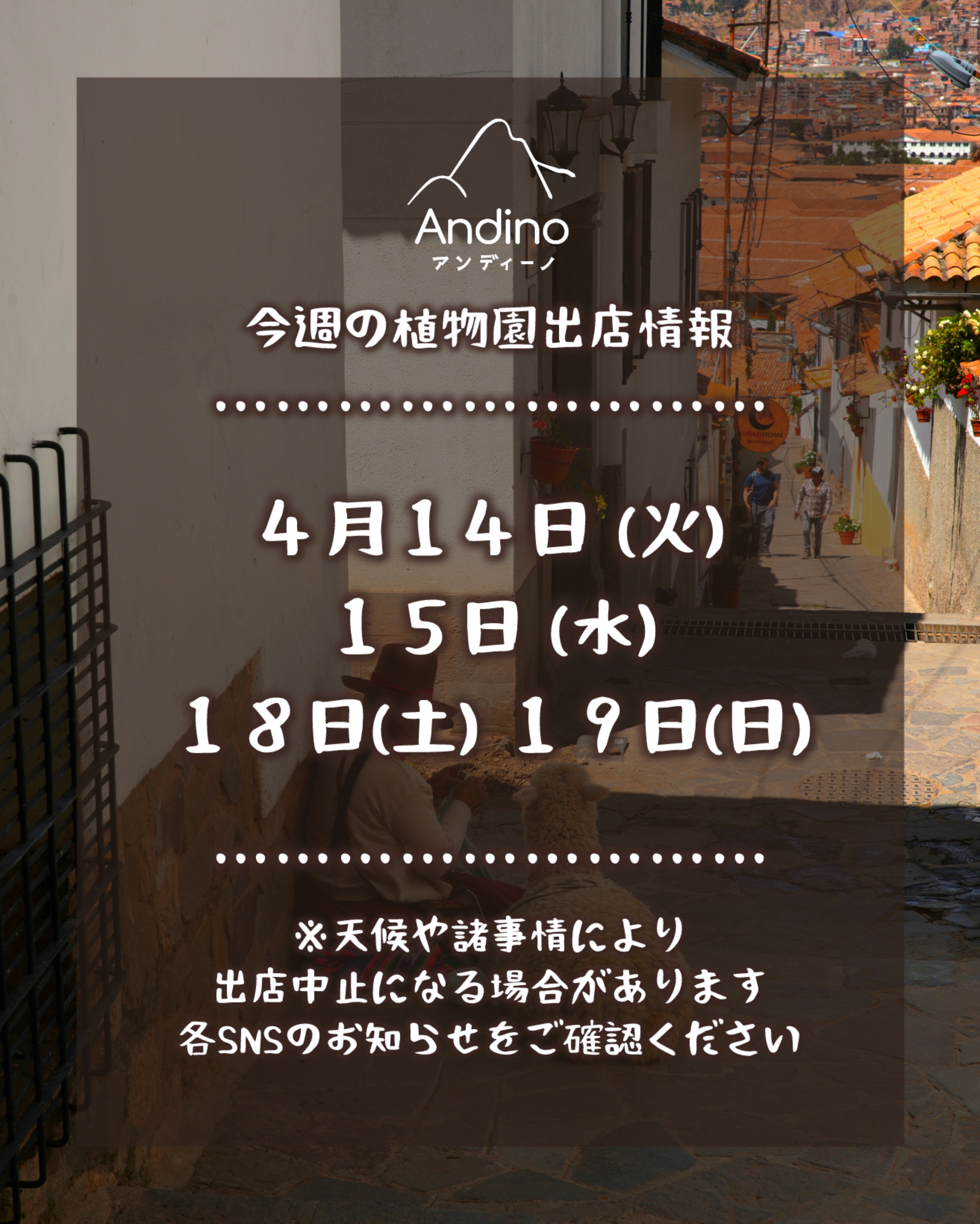 【📢今週の出店予定日のお知らせ🇵🇪4月14日(火)〜】