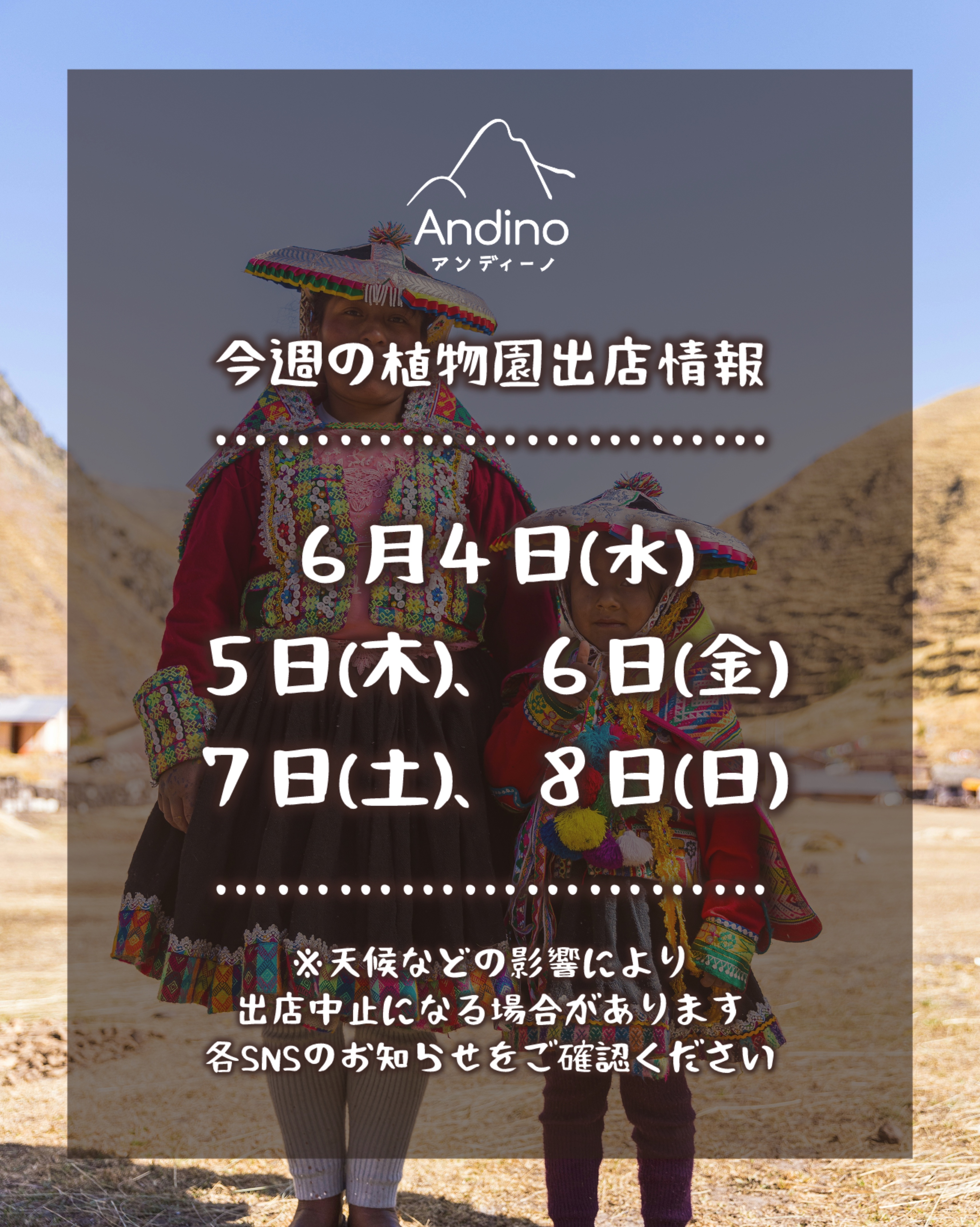 【📢今週の出店予定日のお知らせ🇵🇪6月4日(水)〜8日(日)】