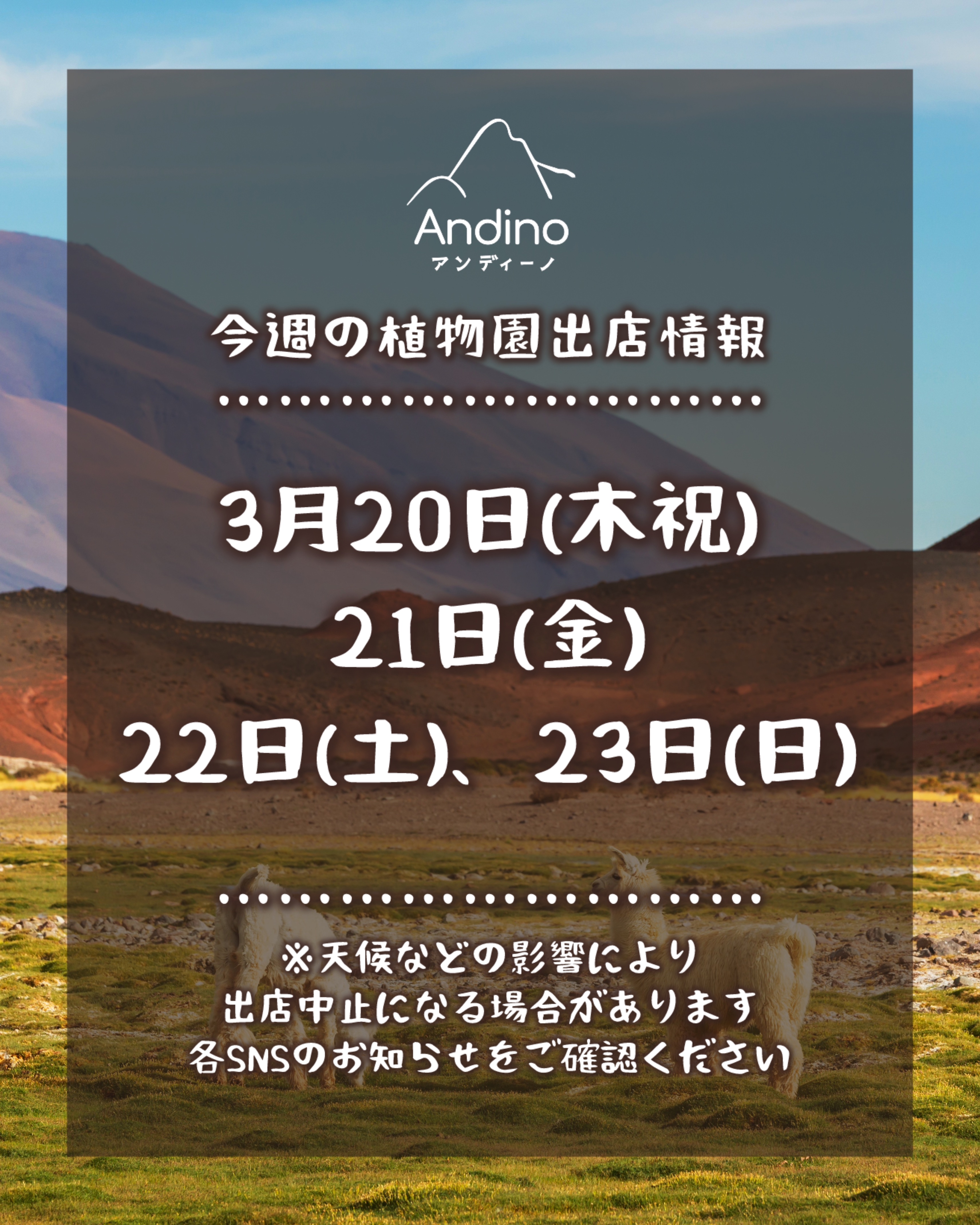 【📢今週の出店予定日のお知らせ🇵🇪3月20日(木祝)〜23日(日)】