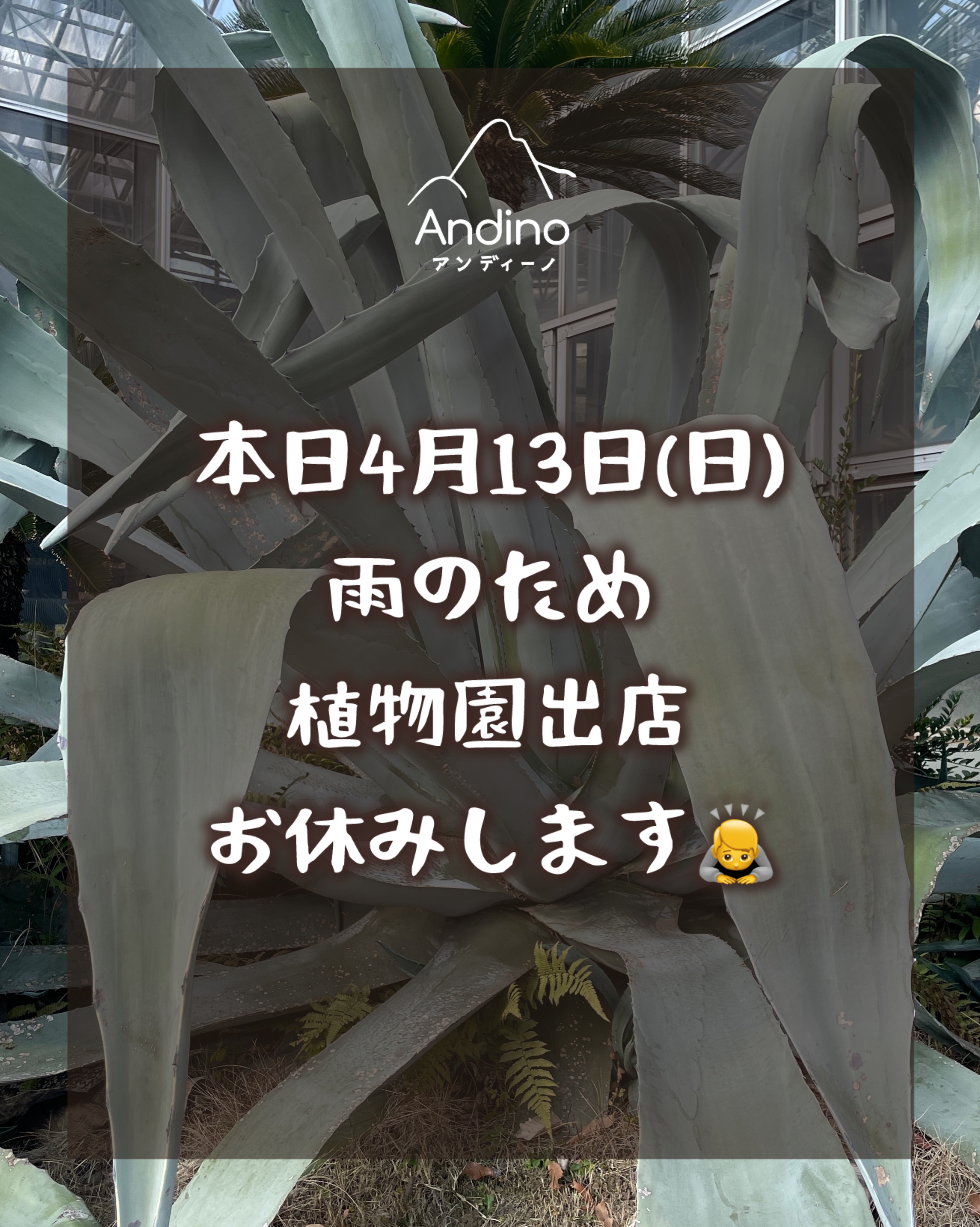 【⚠️4月13日(日) 植物園出店お休みのお知らせ】