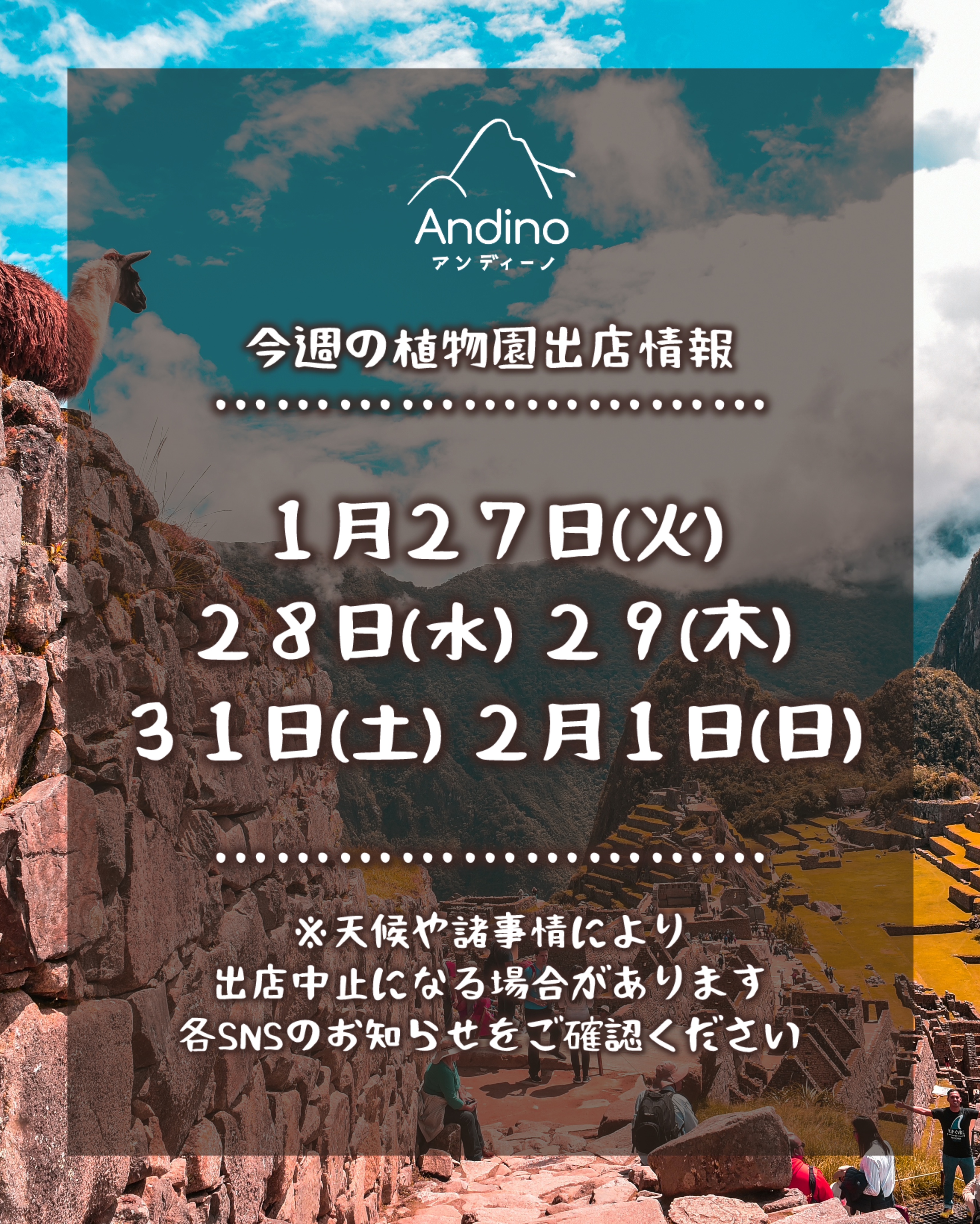 【📢今週の出店予定日のお知らせ🇵🇪1月27日(火)〜】