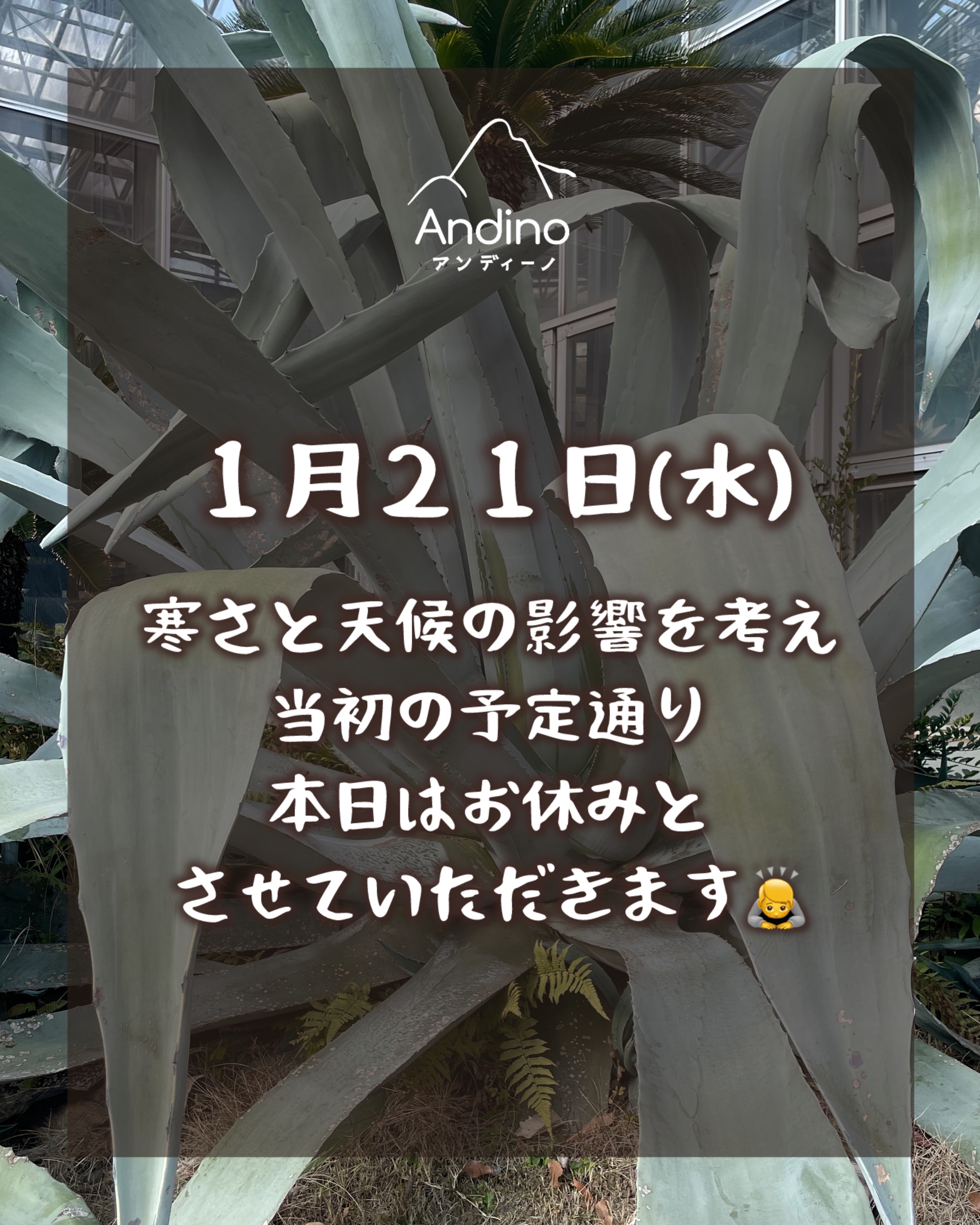 【⚠️本日1月21日(水)の植物園出店について】
