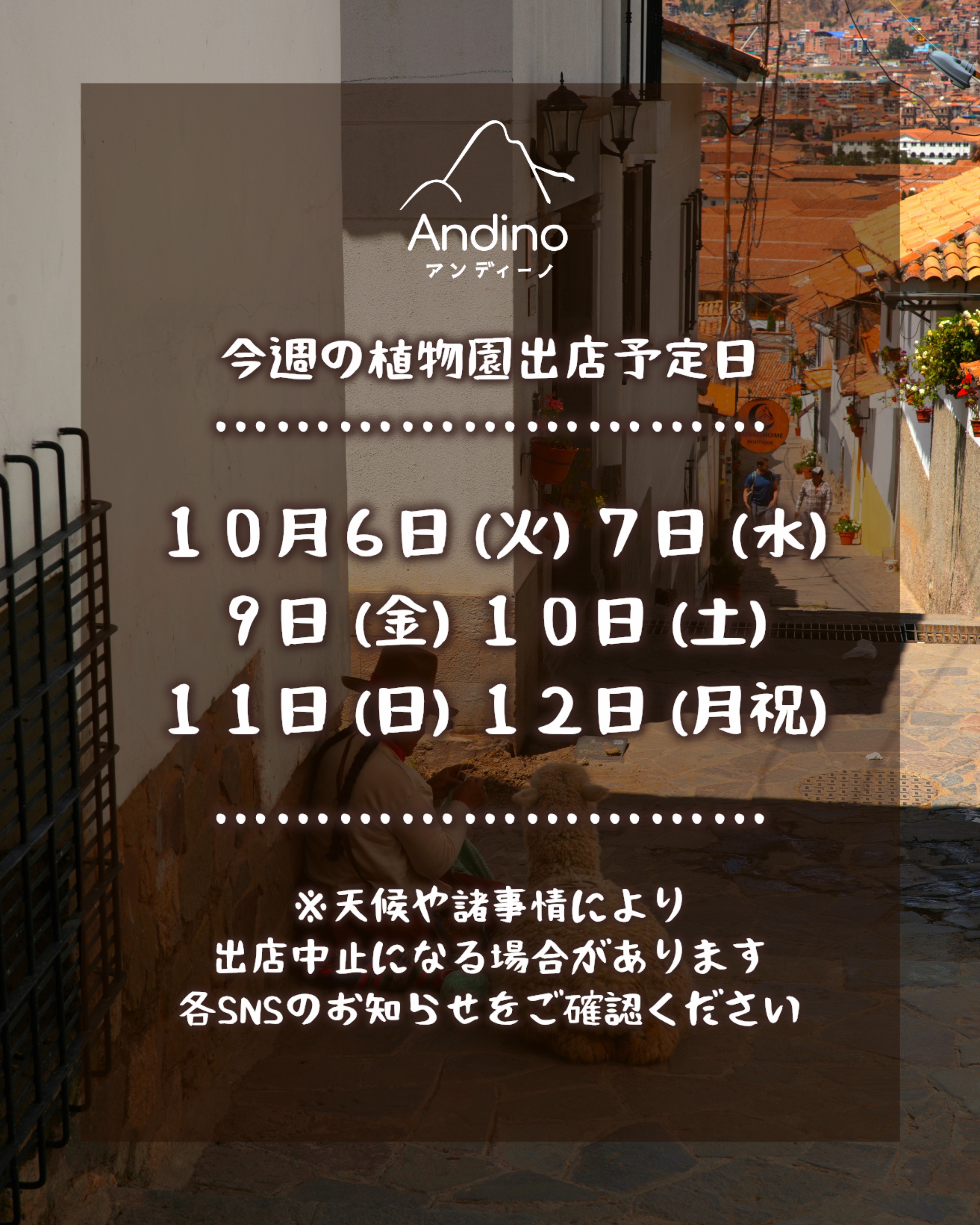 【📢今週の出店予定日のお知らせ🇵🇪10月6日(火)〜】