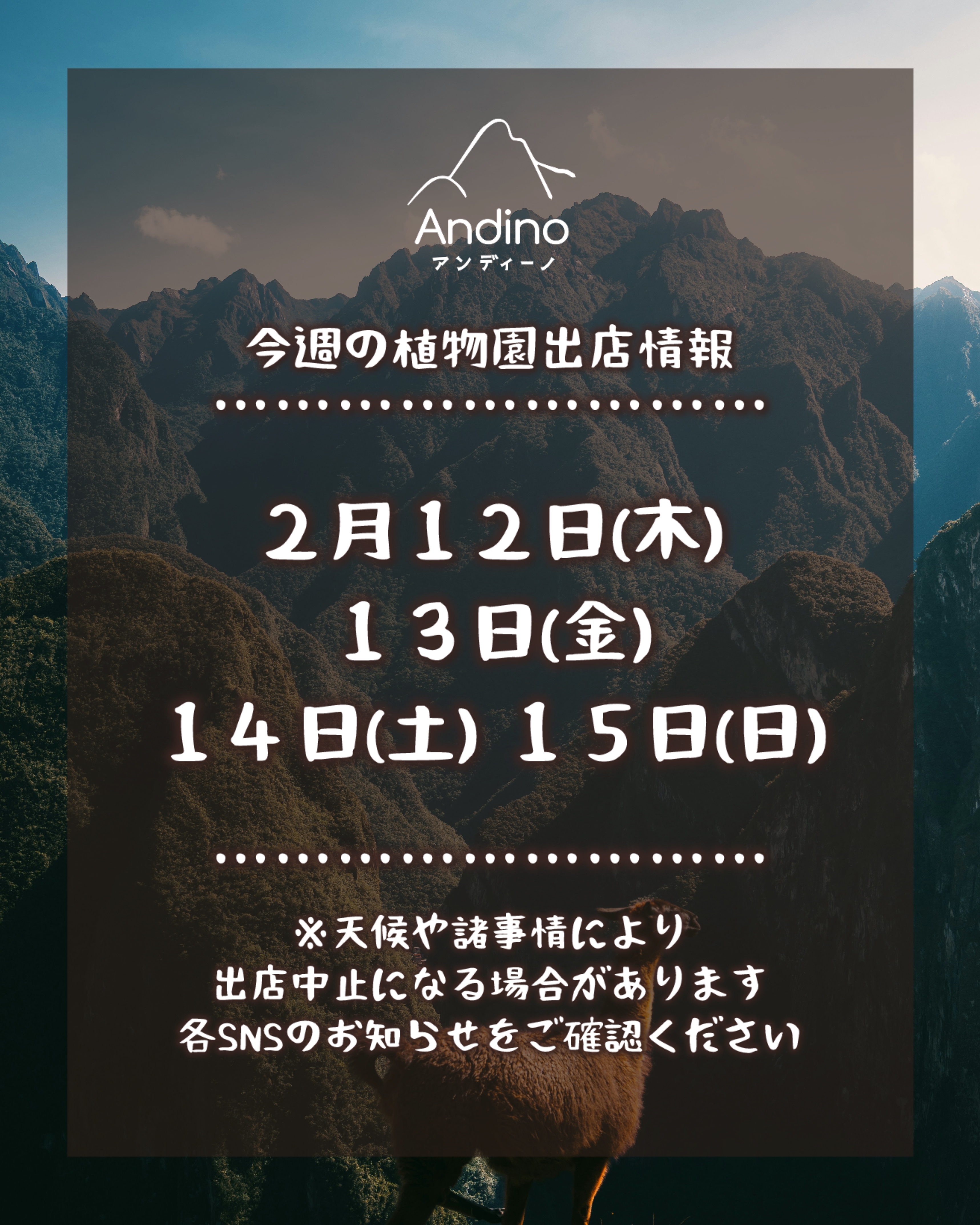 【📢今週の出店予定日のお知らせ🇵🇪2月13日(木)〜】