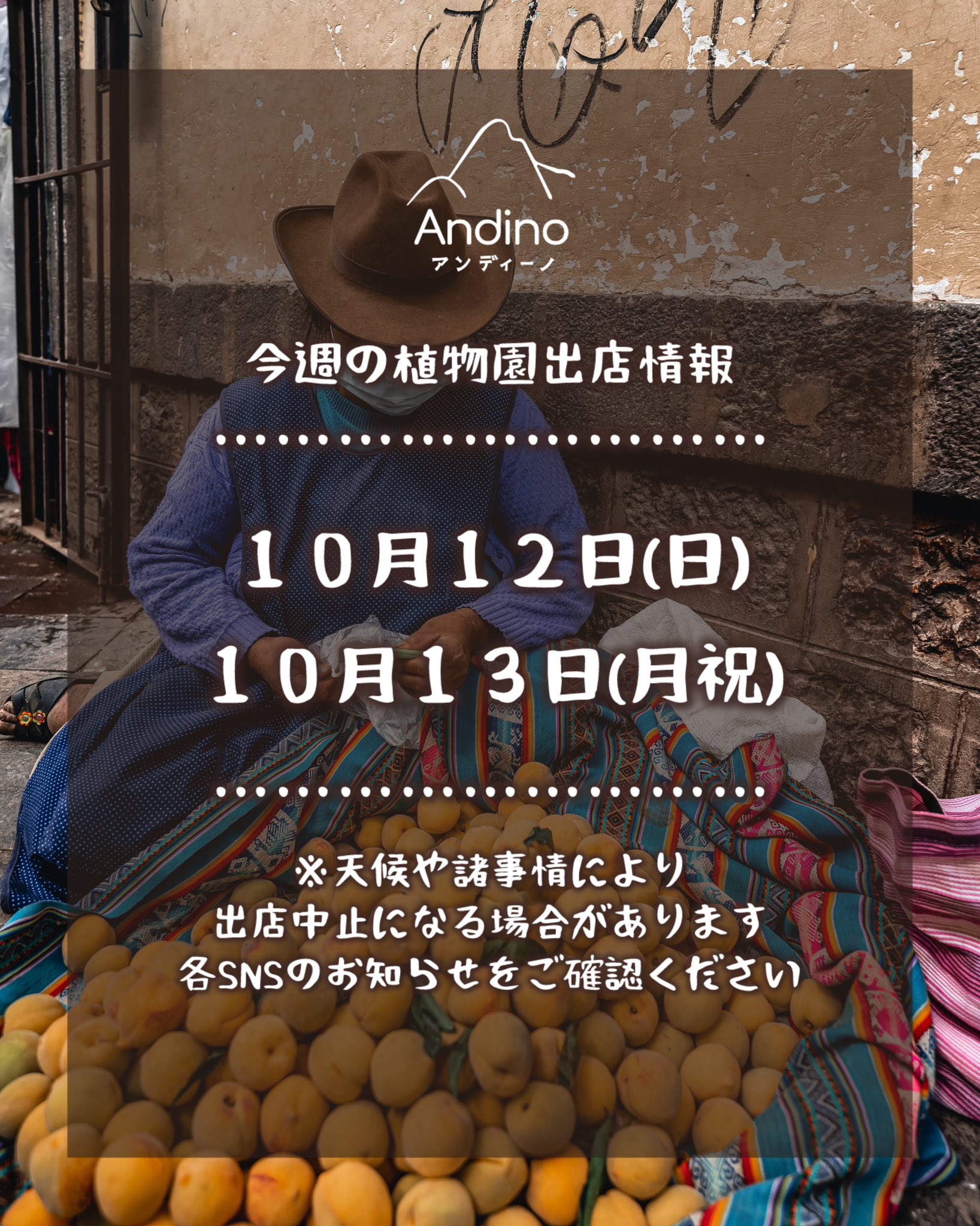 【📢今週の出店予定日のお知らせ🇵🇪10月12日(日)、13日(月祝)】