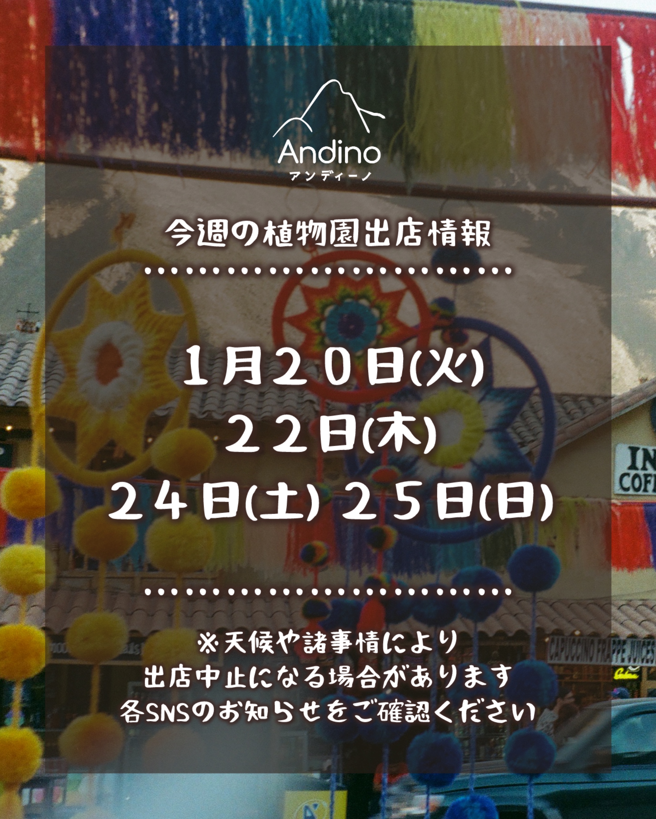【📢今週の出店予定日のお知らせ🇵🇪1月20日(火)〜】