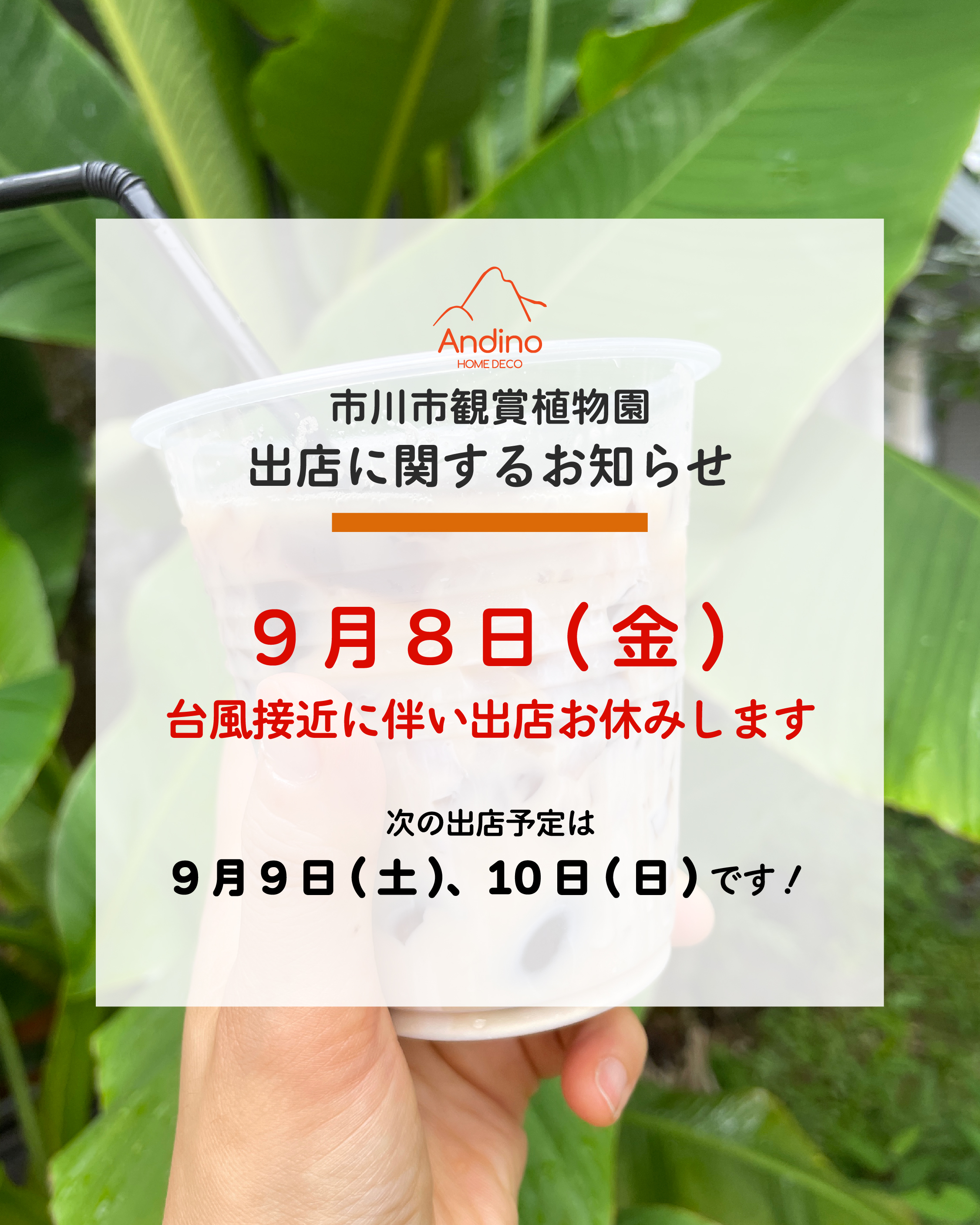 【⚠️明日9月8日(金)台風接近に伴い植物園出店お休みします】