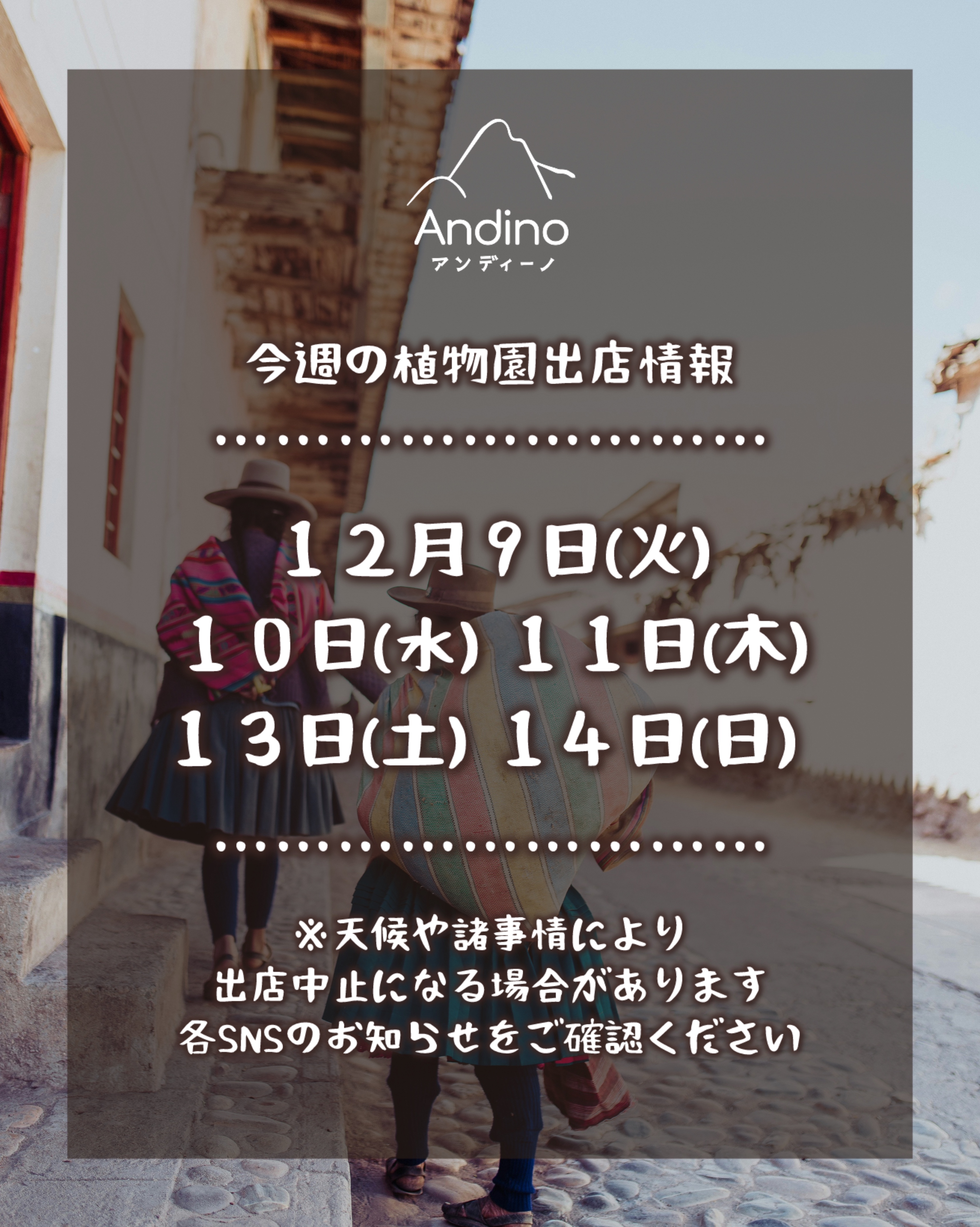 【📢今週の出店予定日のお知らせ🇵🇪12月9日(火)〜】