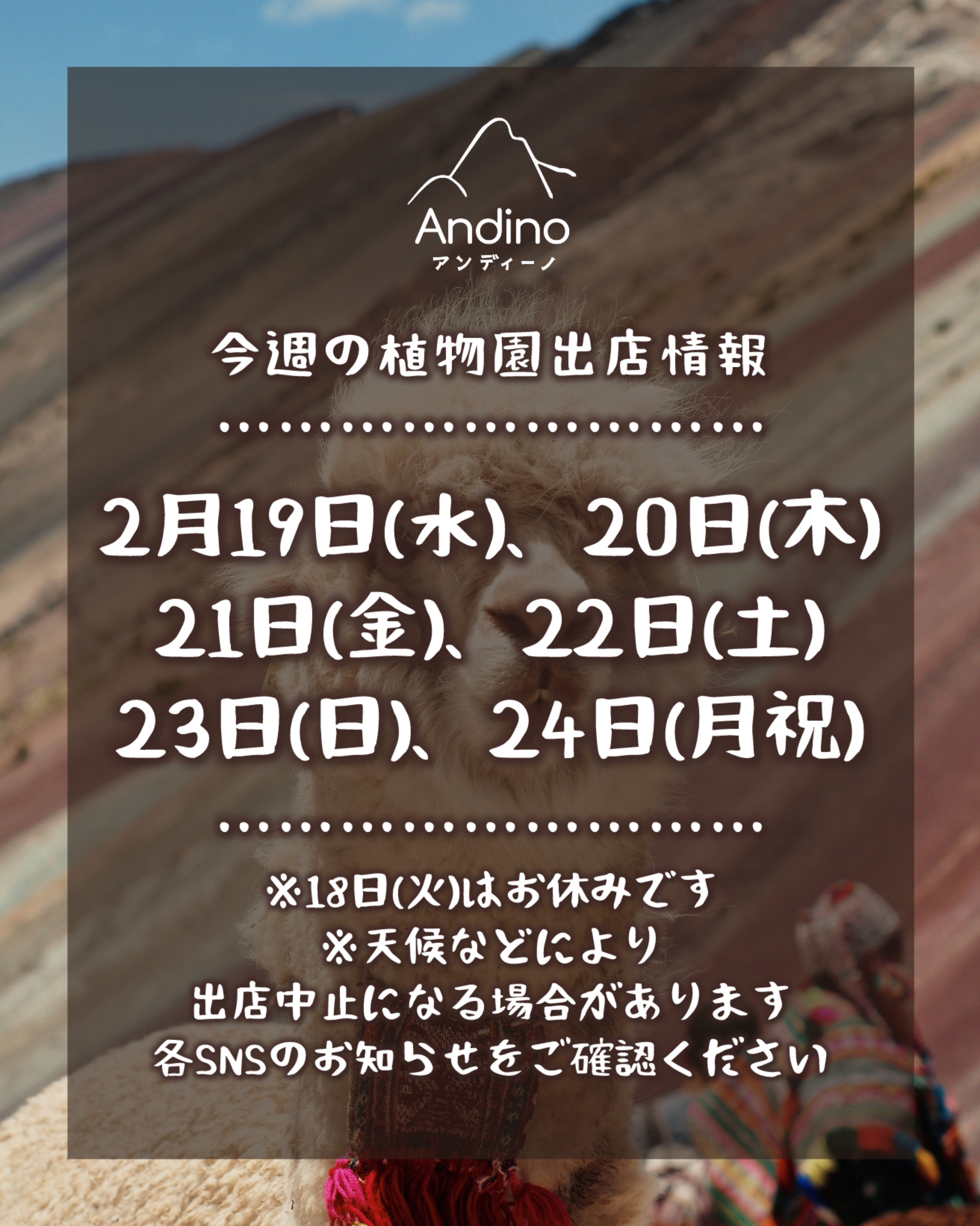 【📢今週の出店予定日変更のお知らせ🇵🇪2月19日(水)〜24日(月祝)】