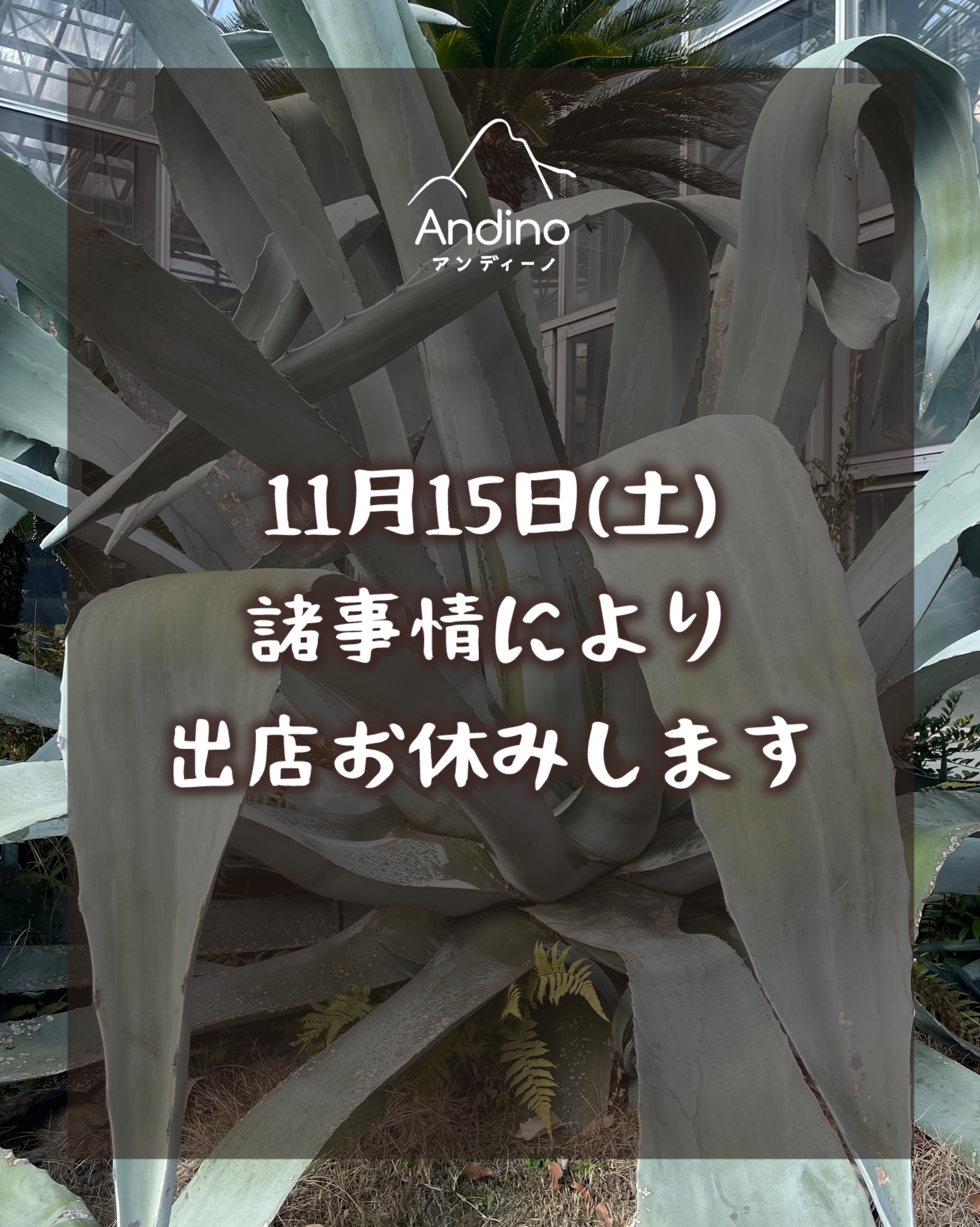 【⚠️11月15日(土)植物園出店お休みのお知らせ】
