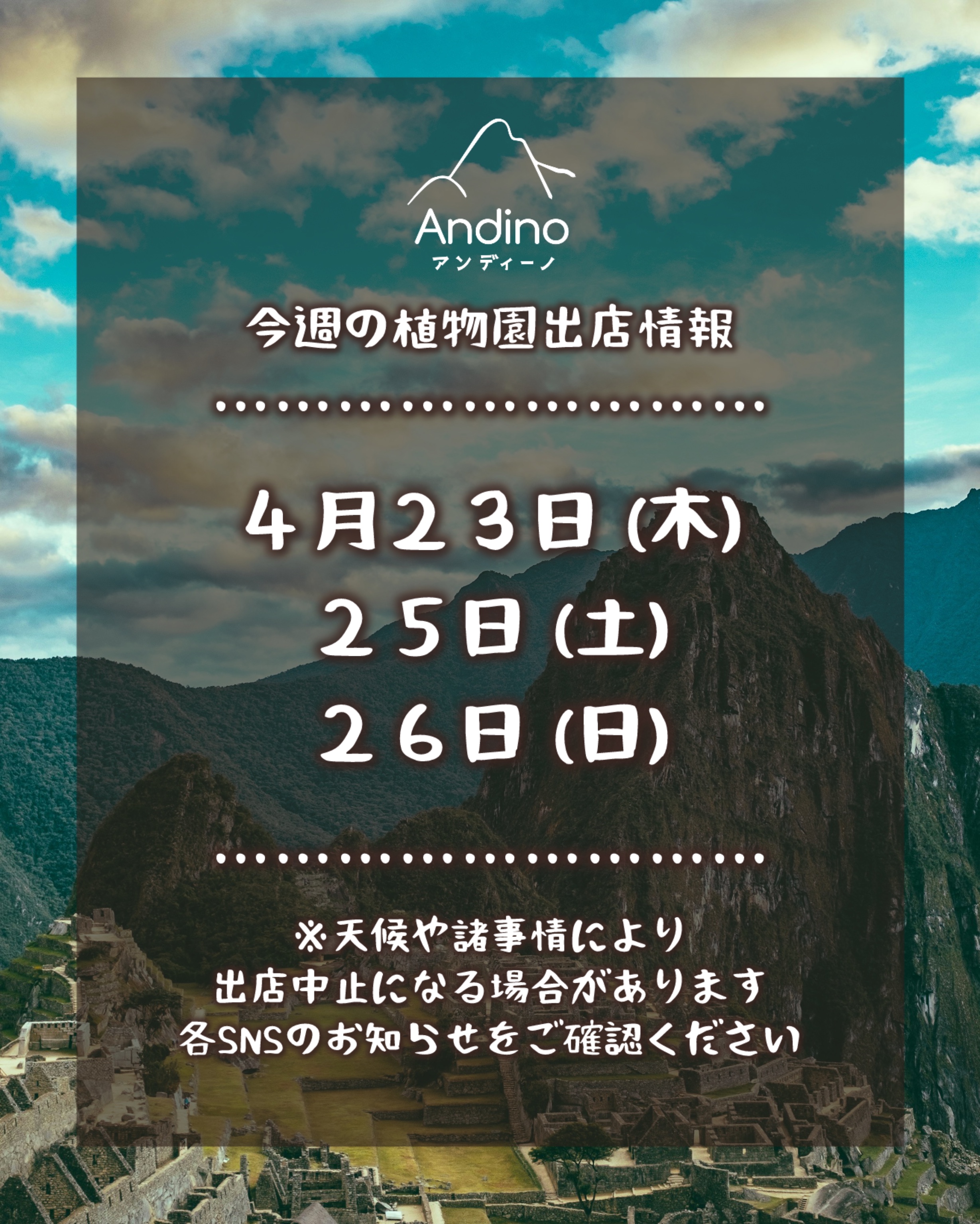 【📢今週の出店予定日のお知らせ🇵🇪4月23日(木)〜】
